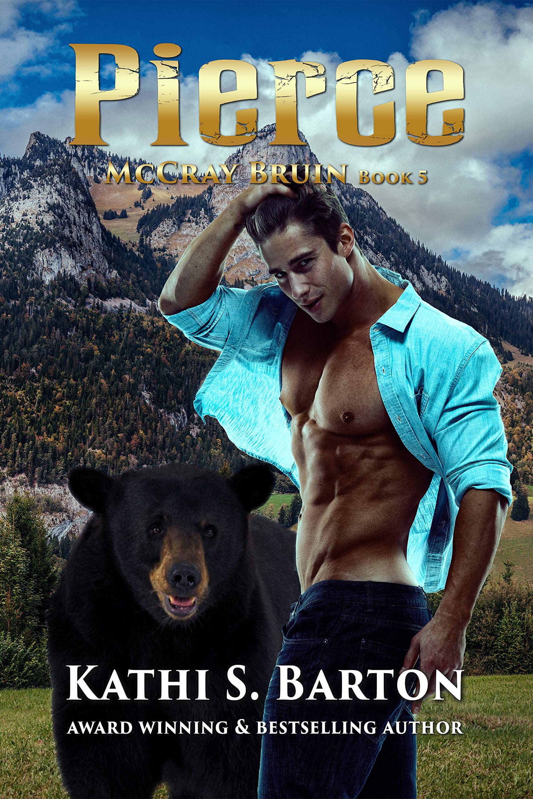 Pierce book cover
