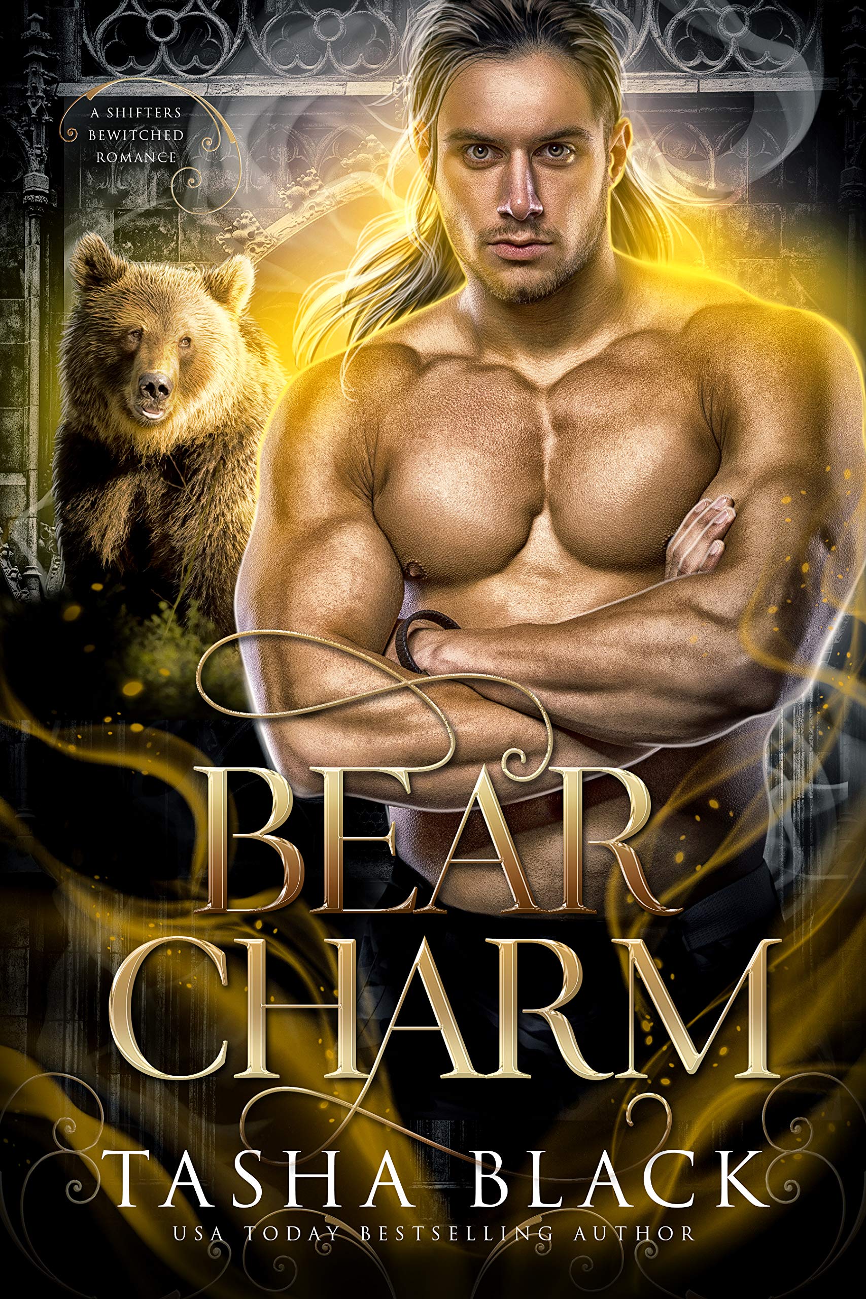 Shifters Bewitched book cover 2