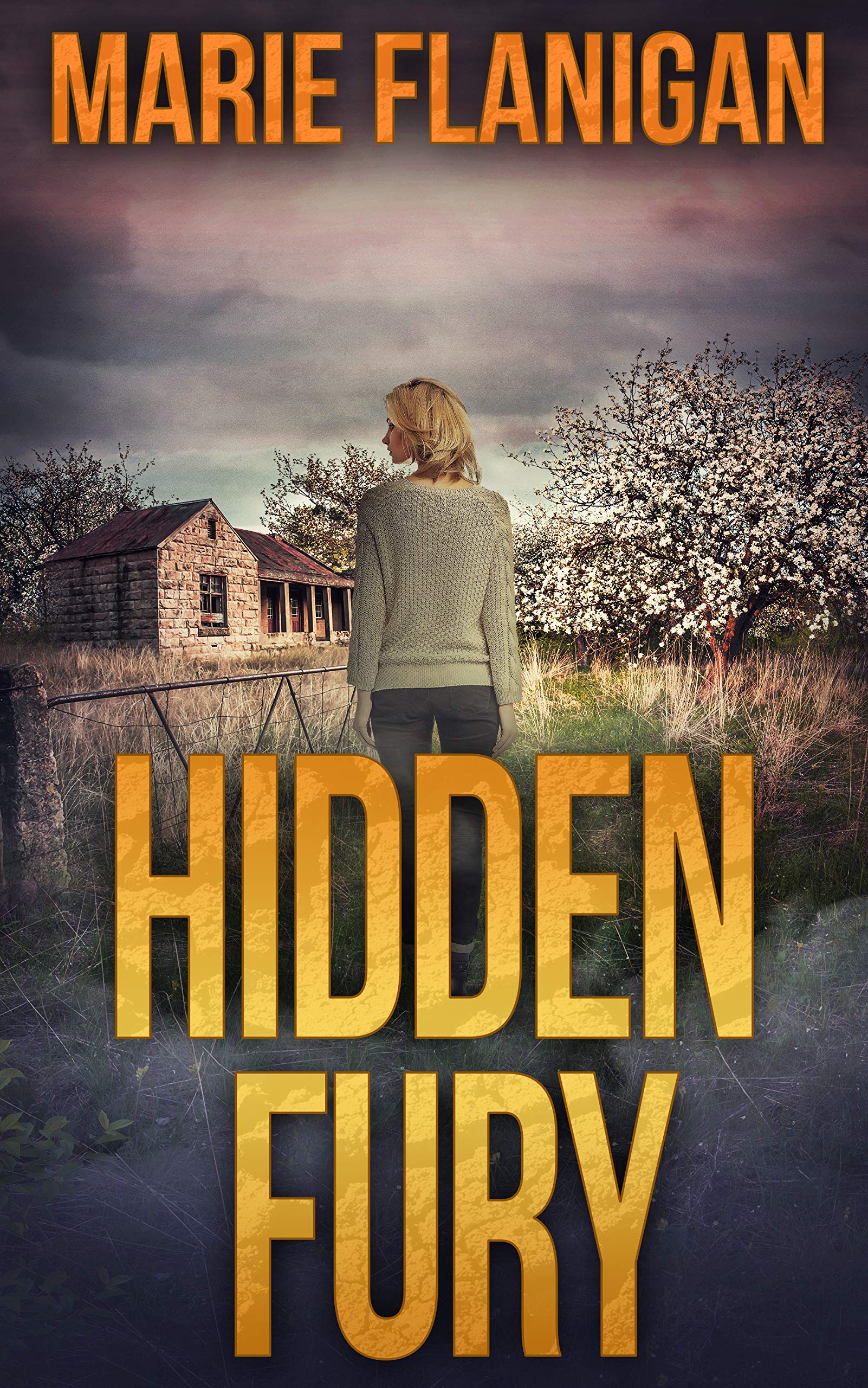 Hidden Fury