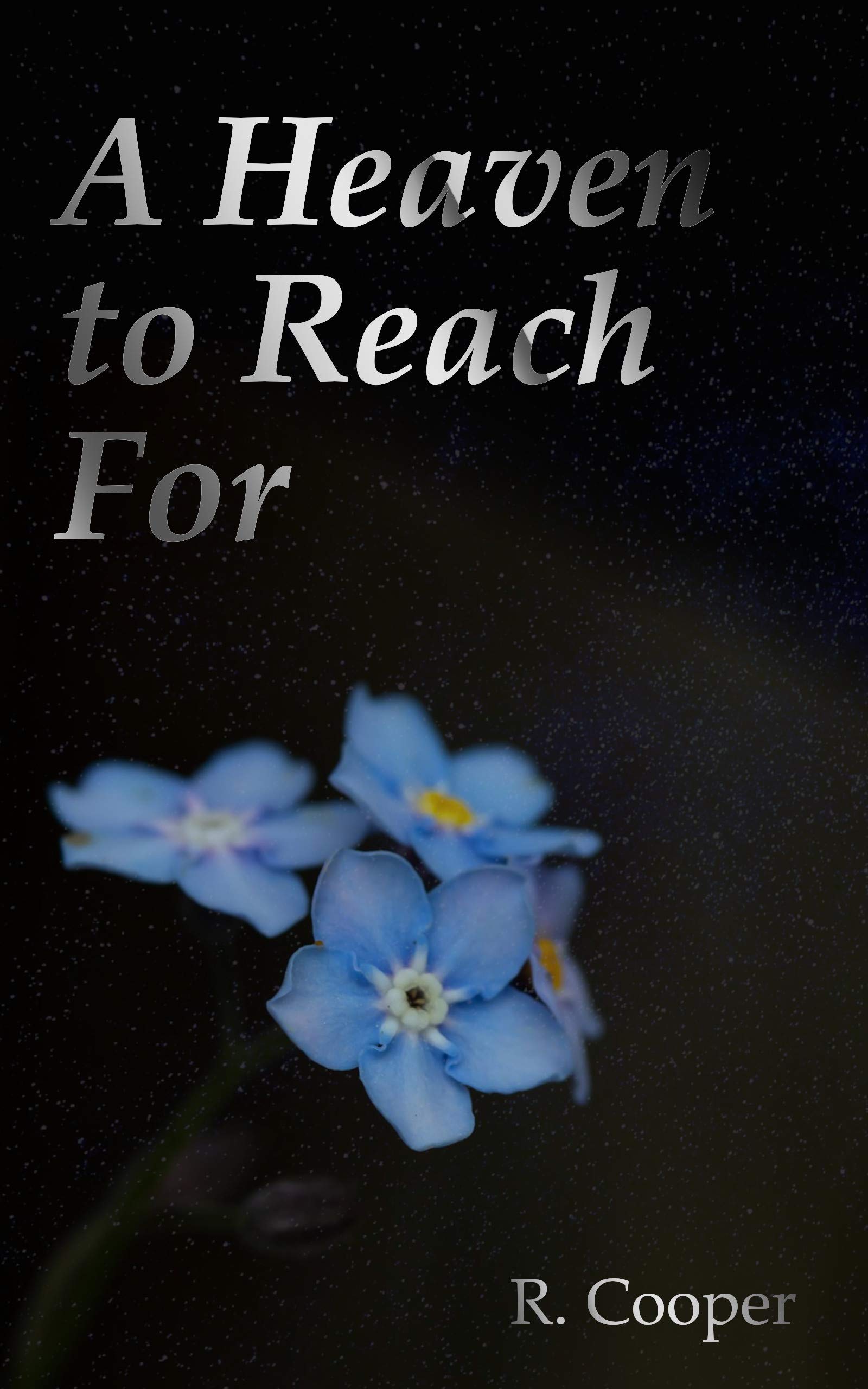 A Heaven to Reach For book cover