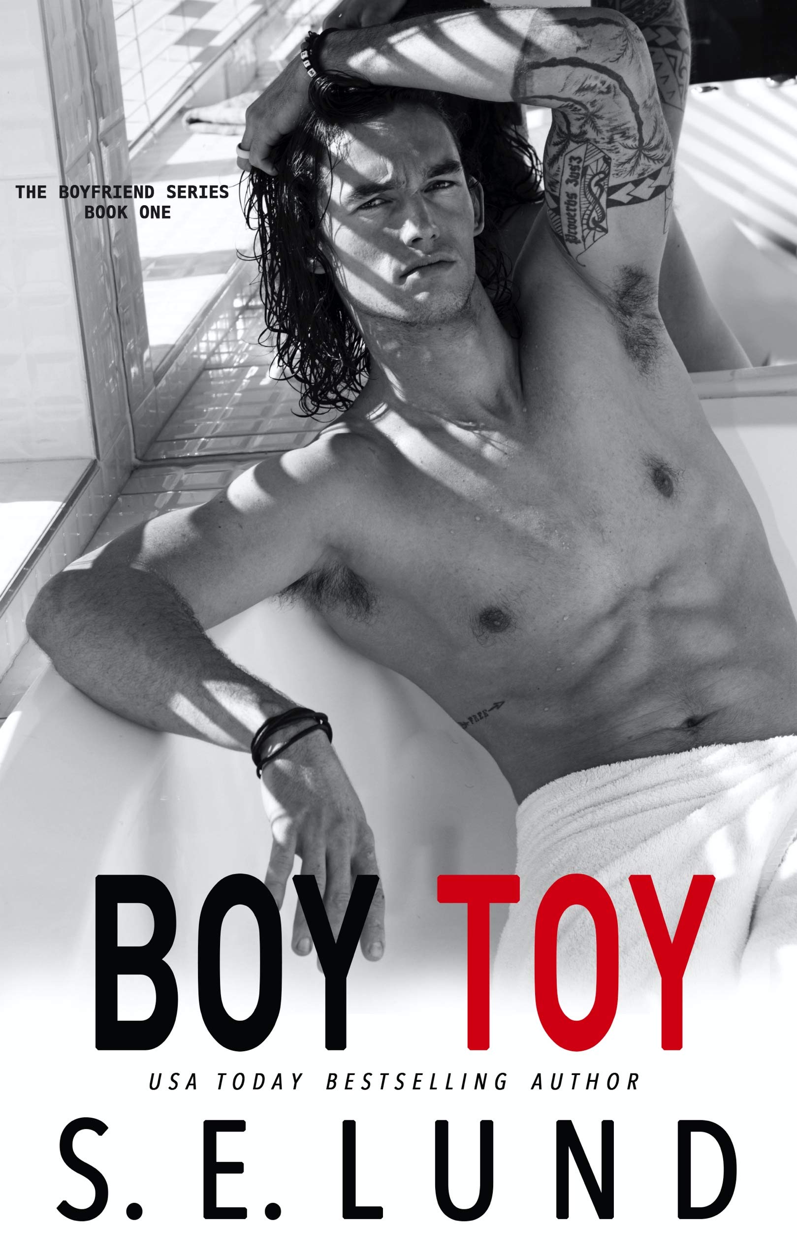Boy Toy book cover