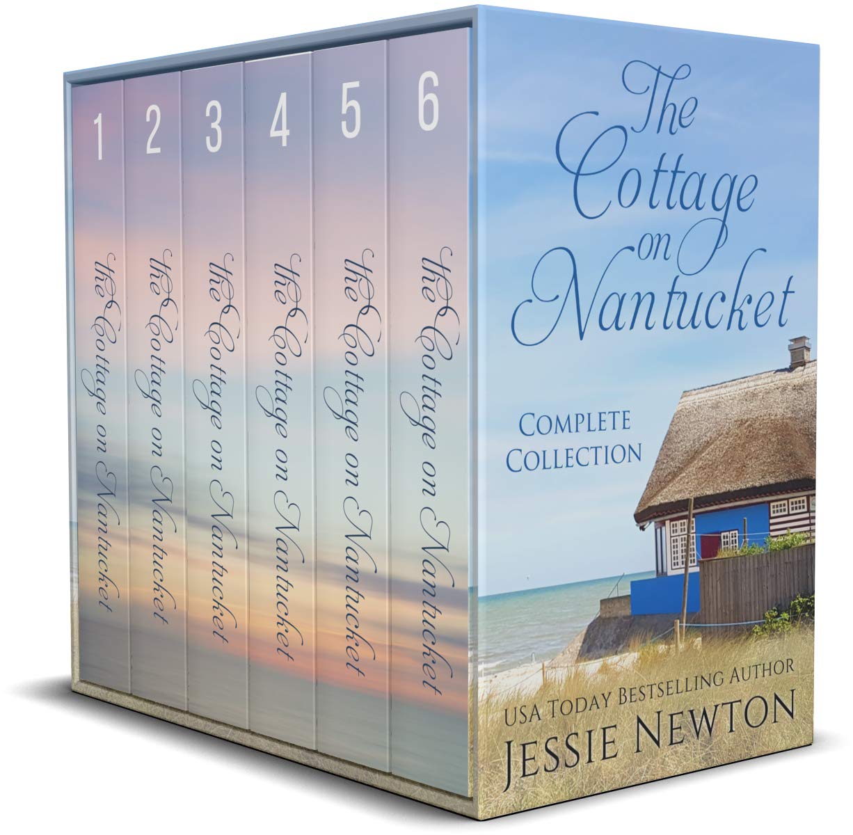 The Cottage on Nantucket (Nantucket Point, 16) by Jessie Newton