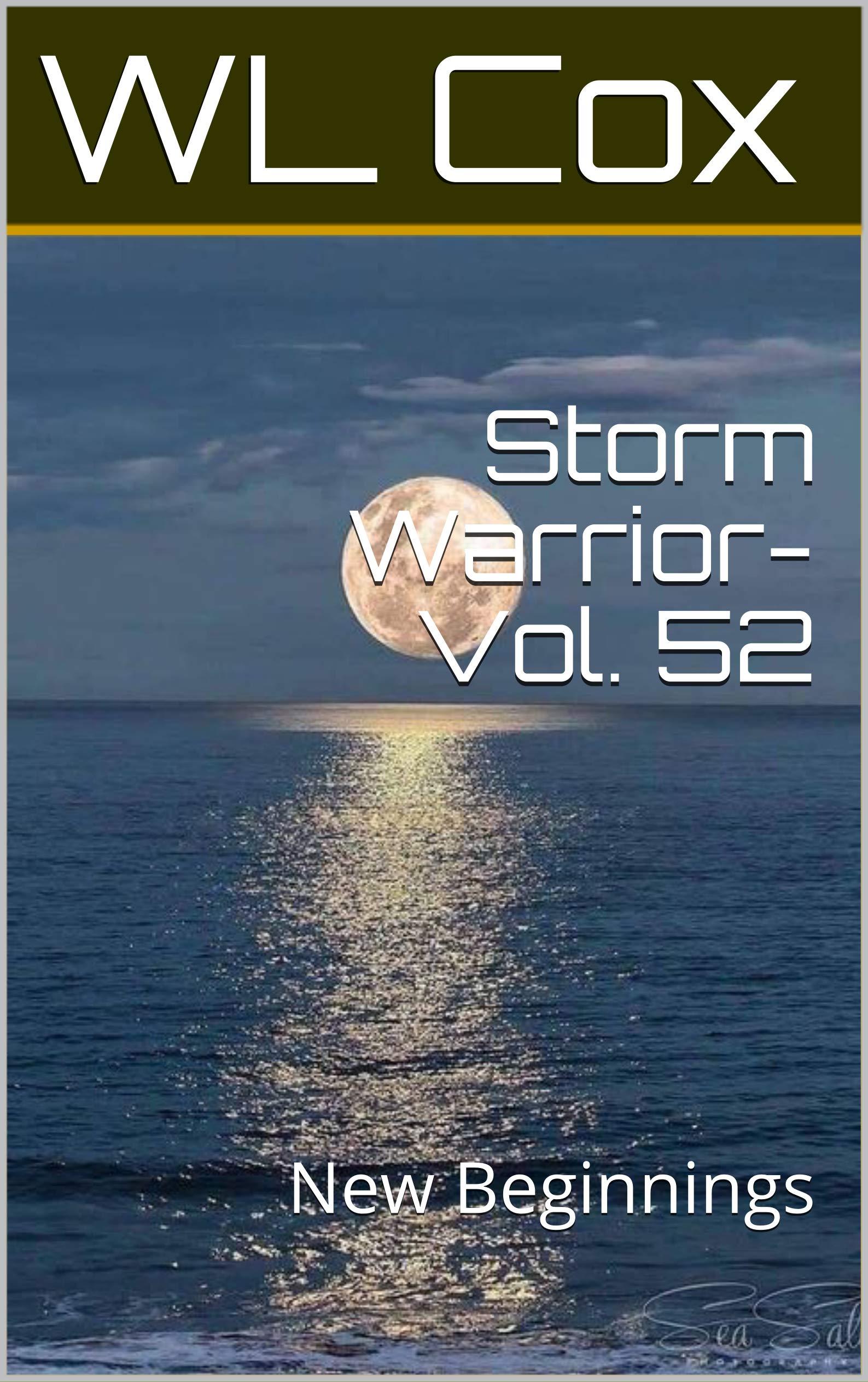 Storm Warrior-Vol. 52 book cover