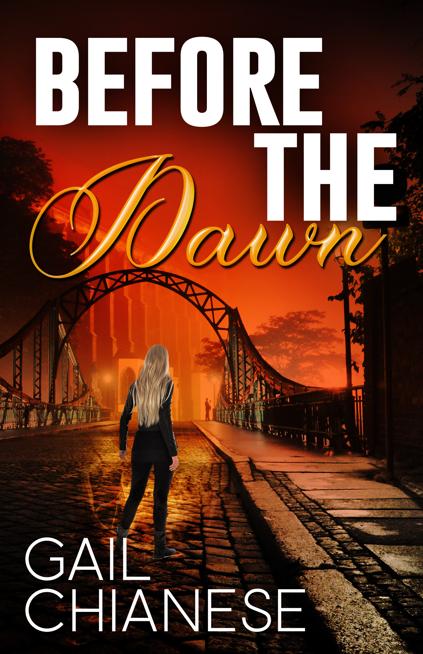 Camden Point Mystery book cover 2