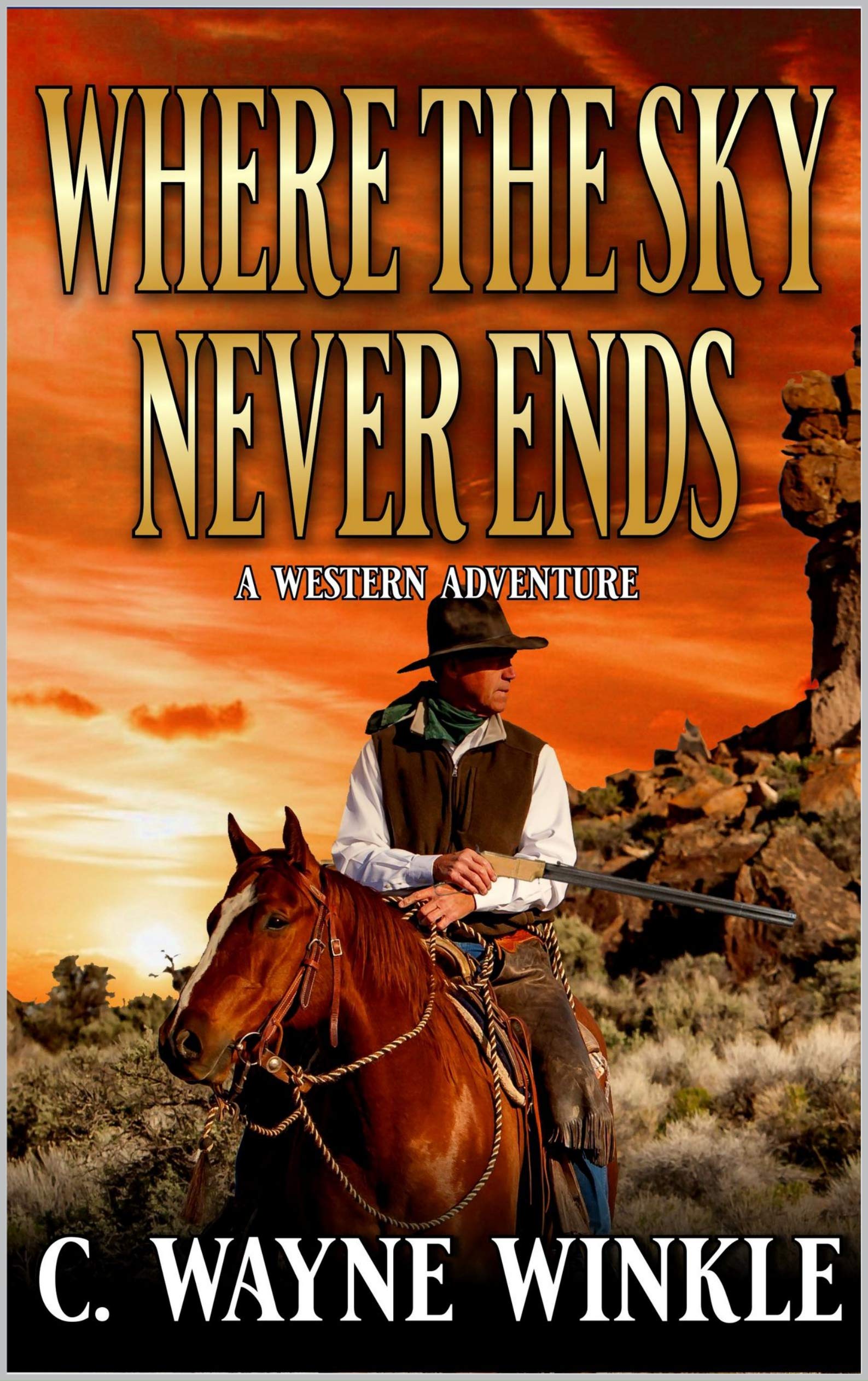 Where The Sky Never Ends book cover
