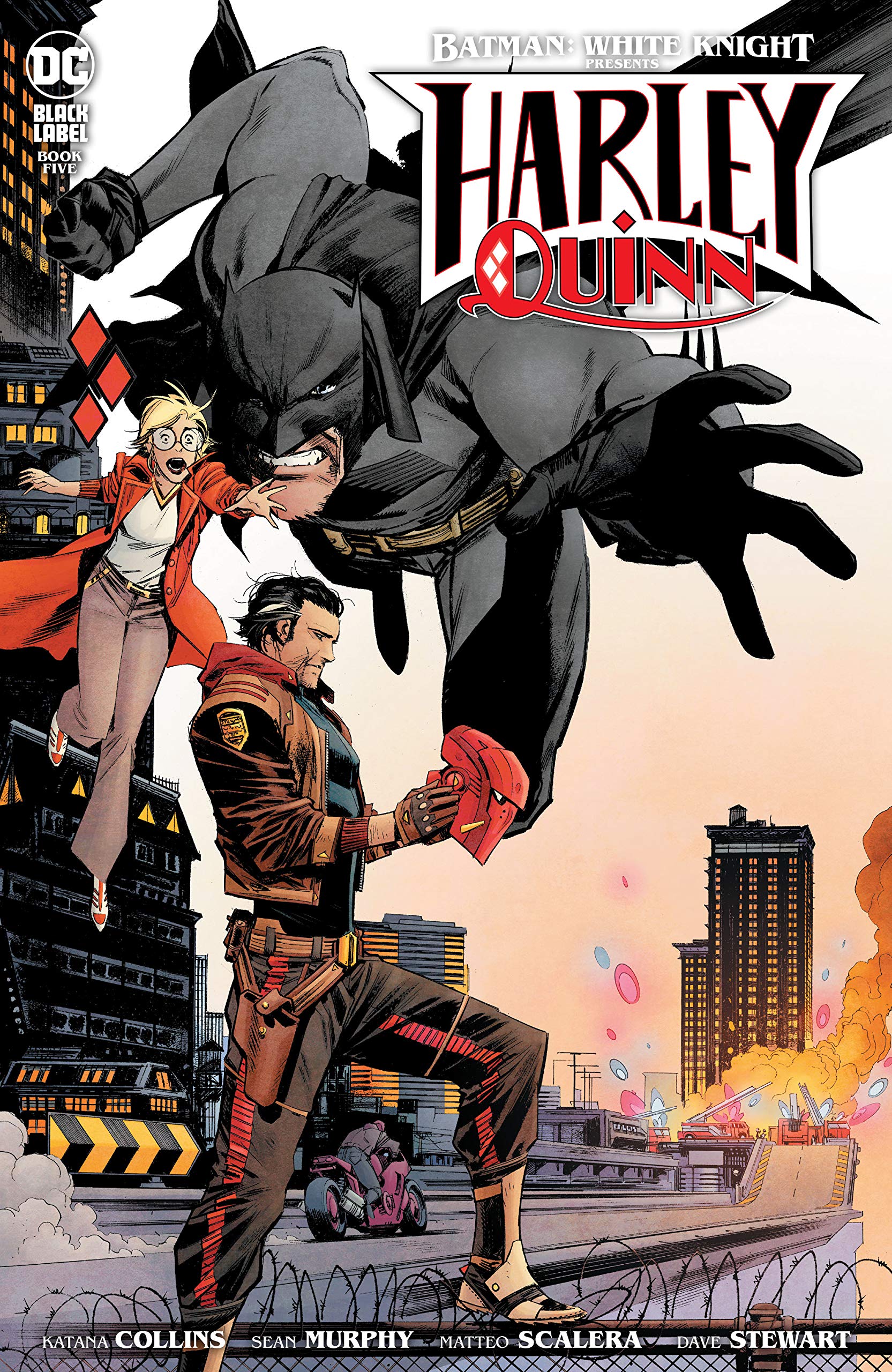 Batman book cover