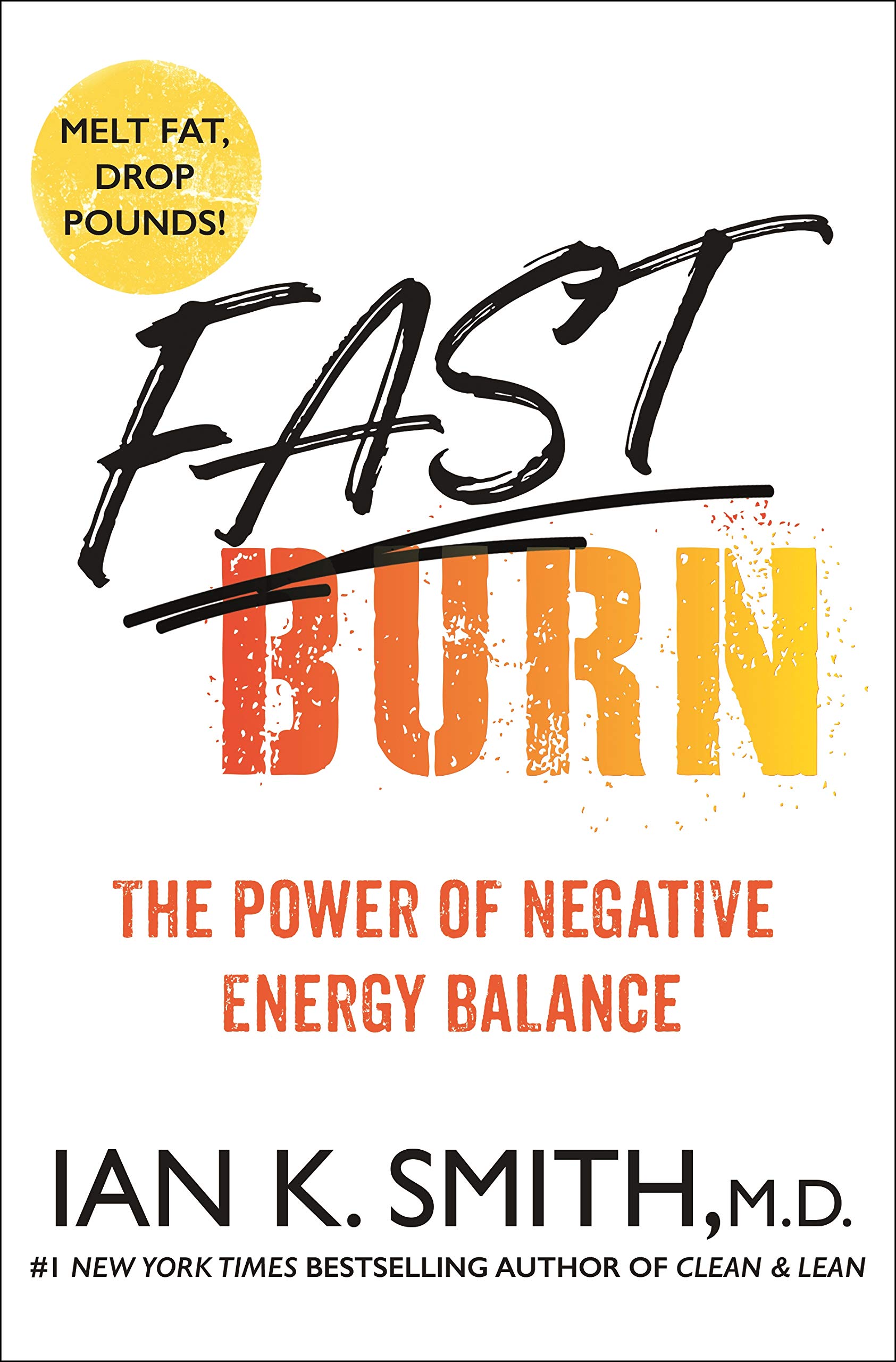 Fast Burn! book cover