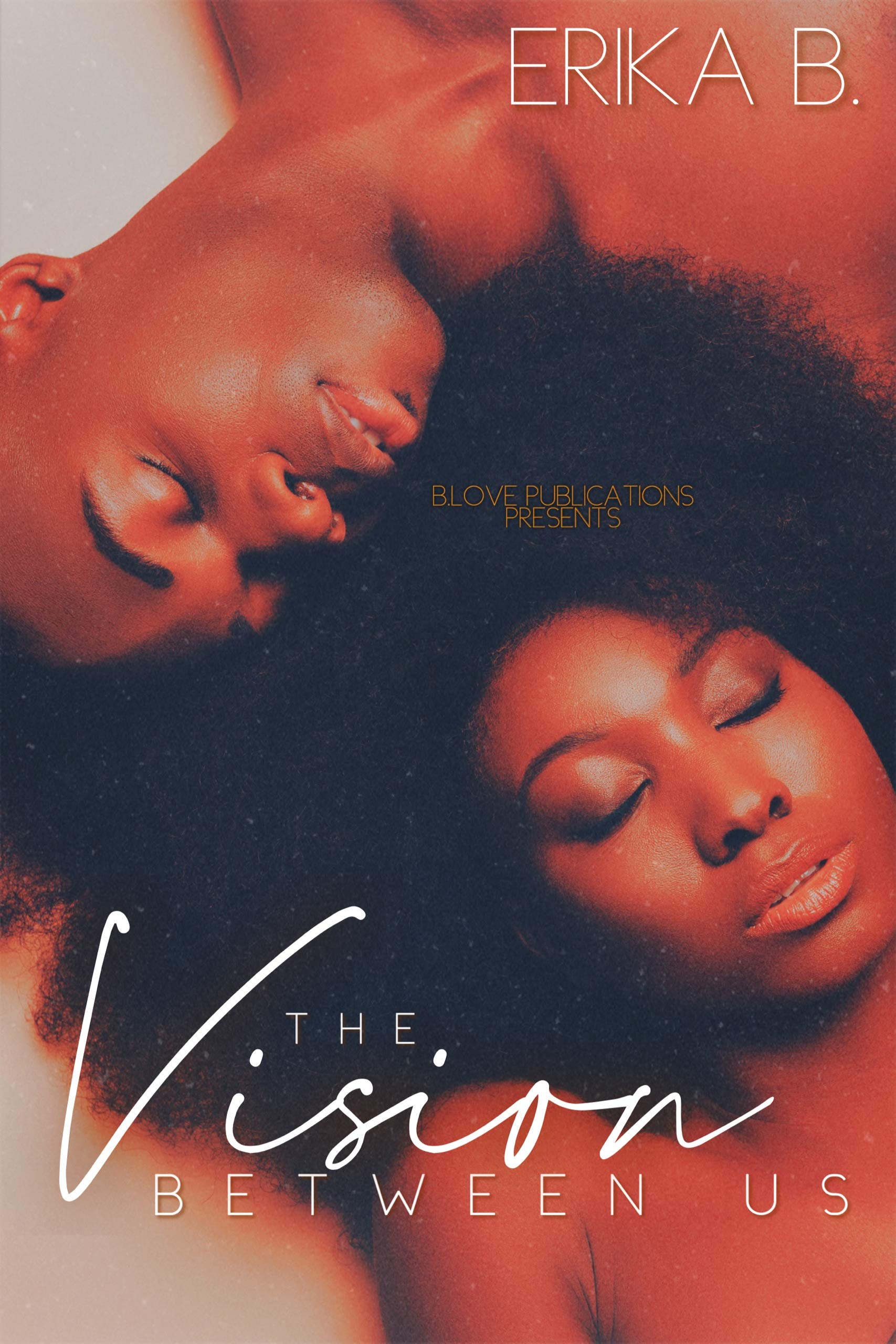 The Vision Between Us book cover