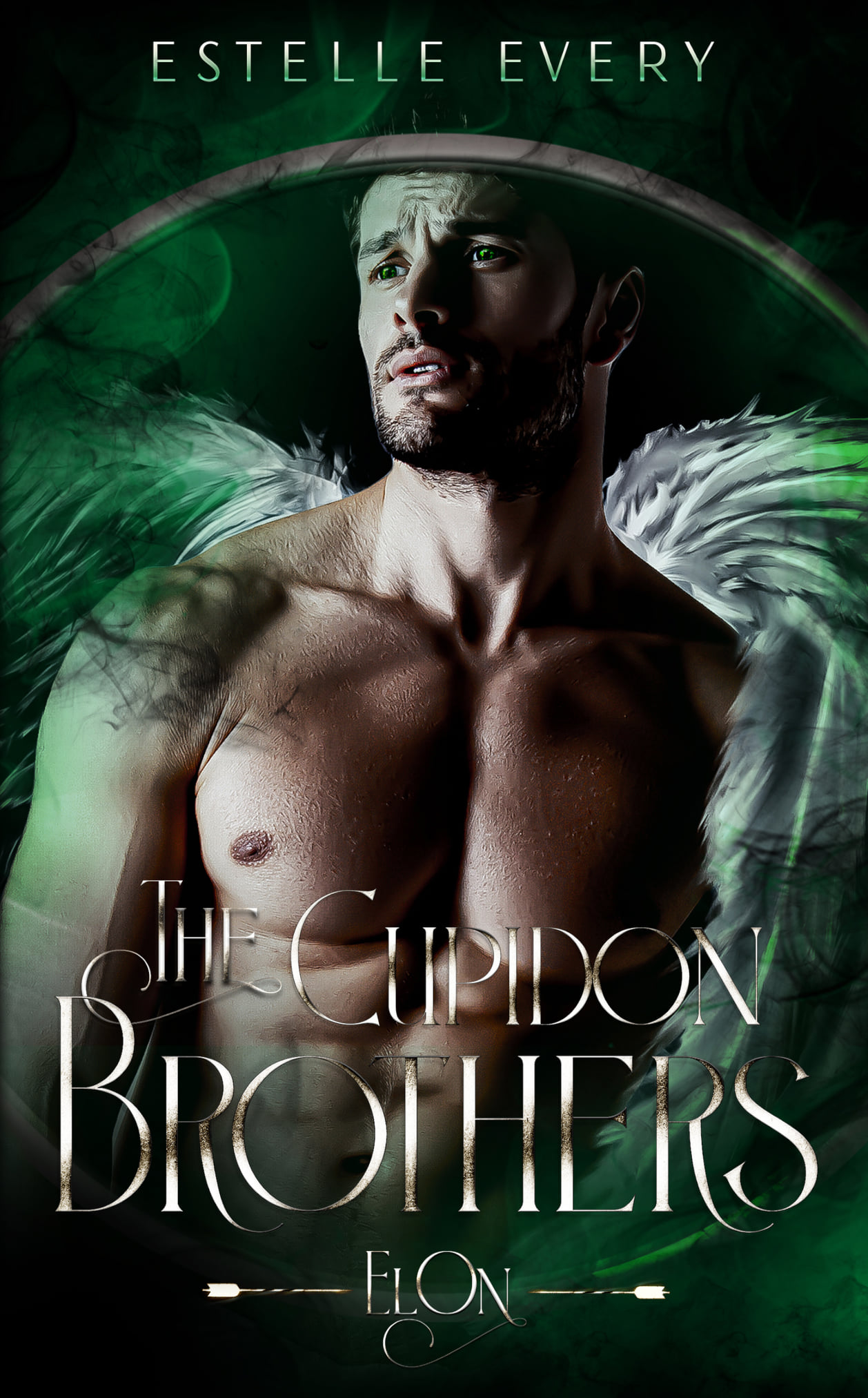 The Cupidon Brothers book cover