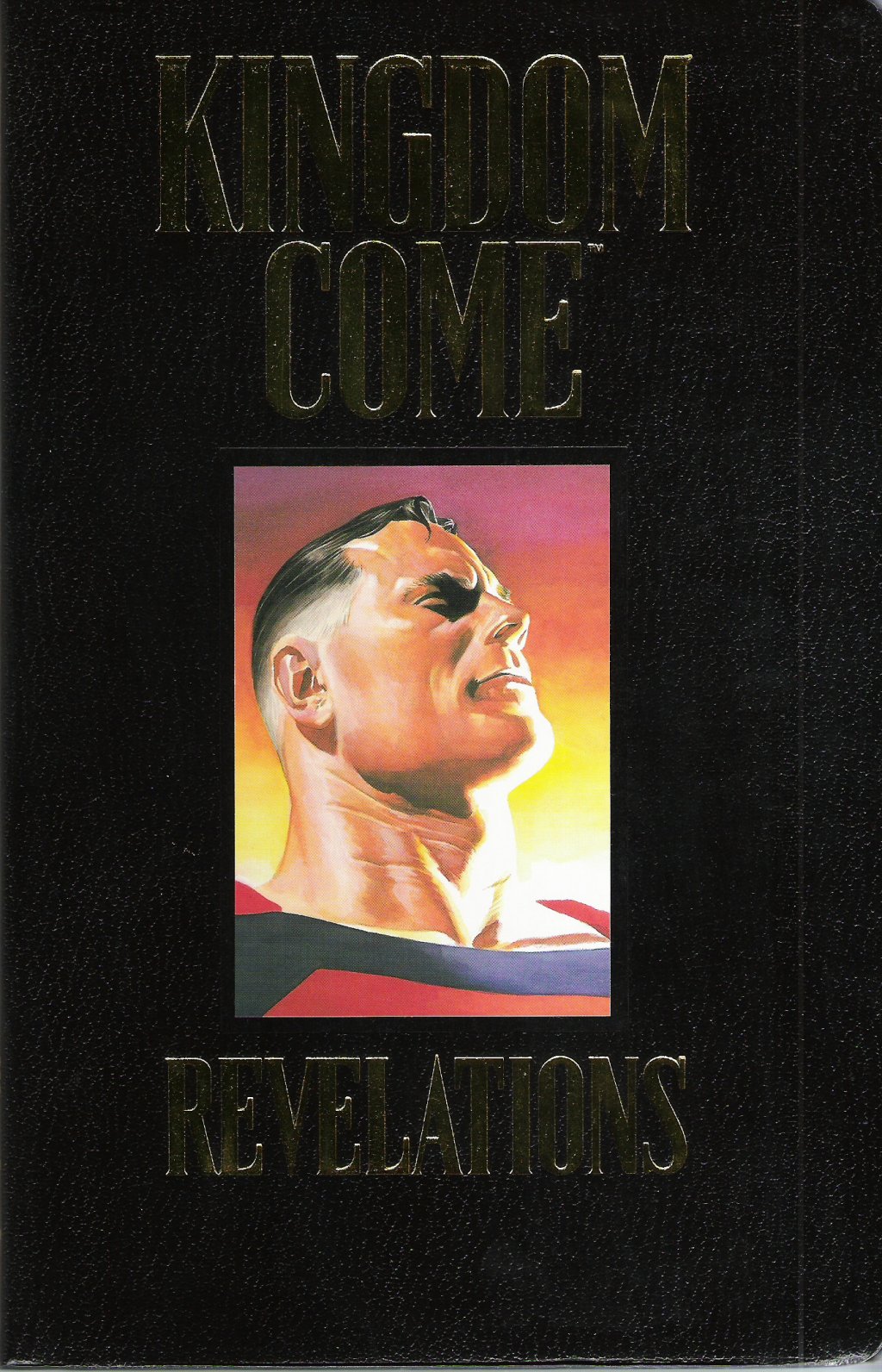 Kingdom Come book cover