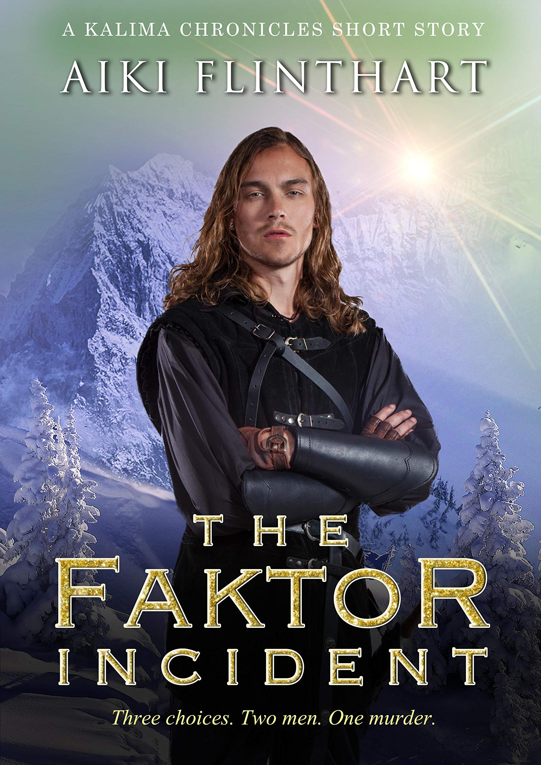The Faktor Incident book cover