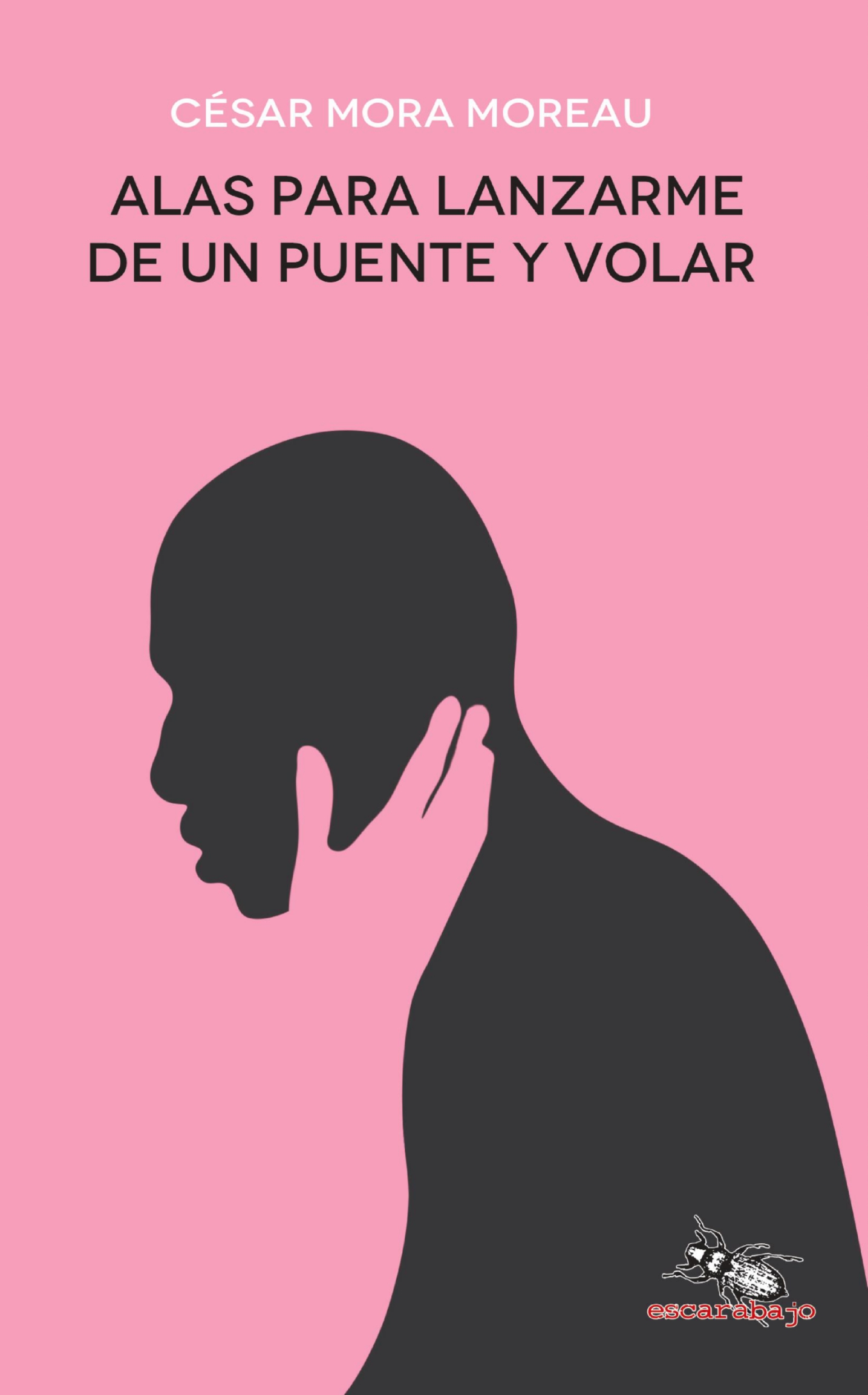 Alas Para Lanzarme De Un Puente Y Volar By César Mora Moreau Goodreads