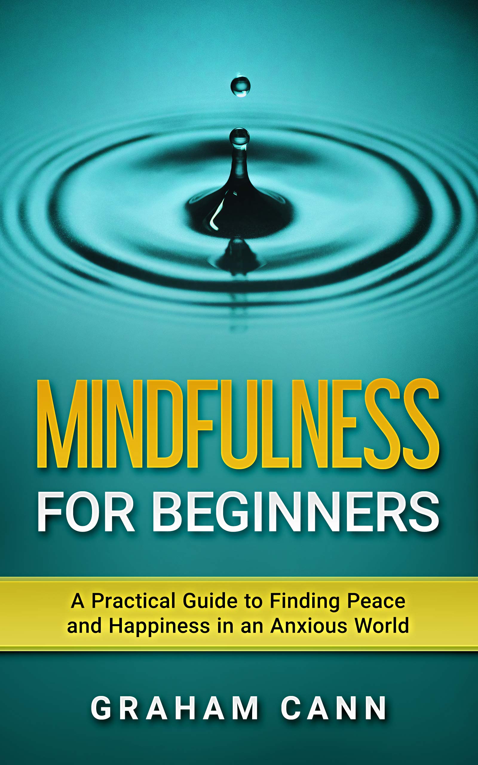 Mindfulness for Beginners: A Practical Guide to Finding Peace and ...