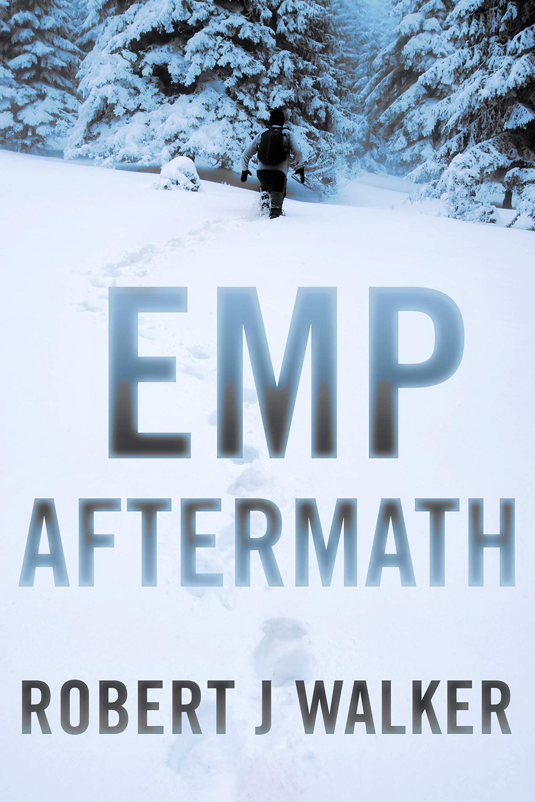 EMP Aftermath book cover