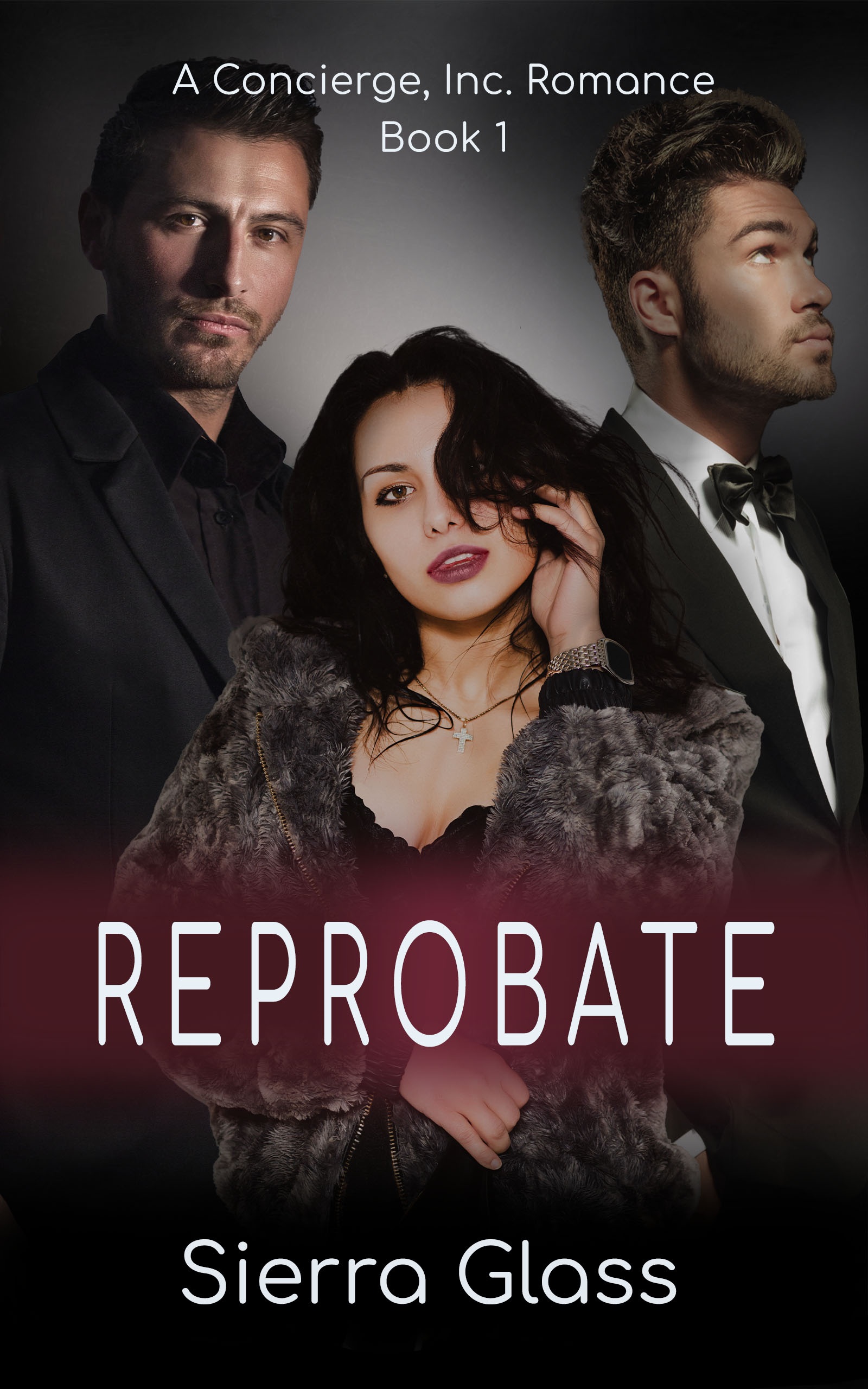 Concierge, Inc. book cover 3
