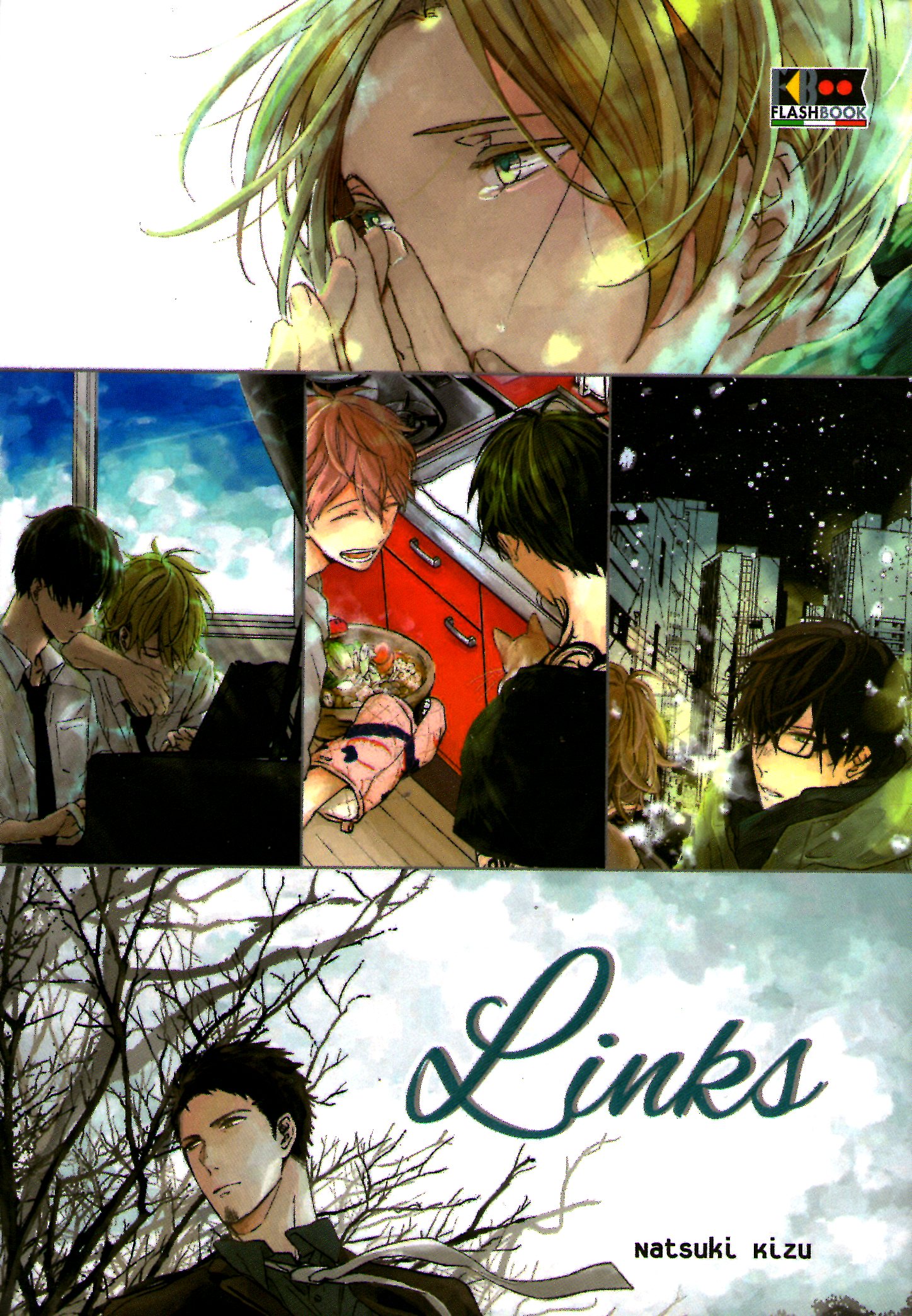 Links