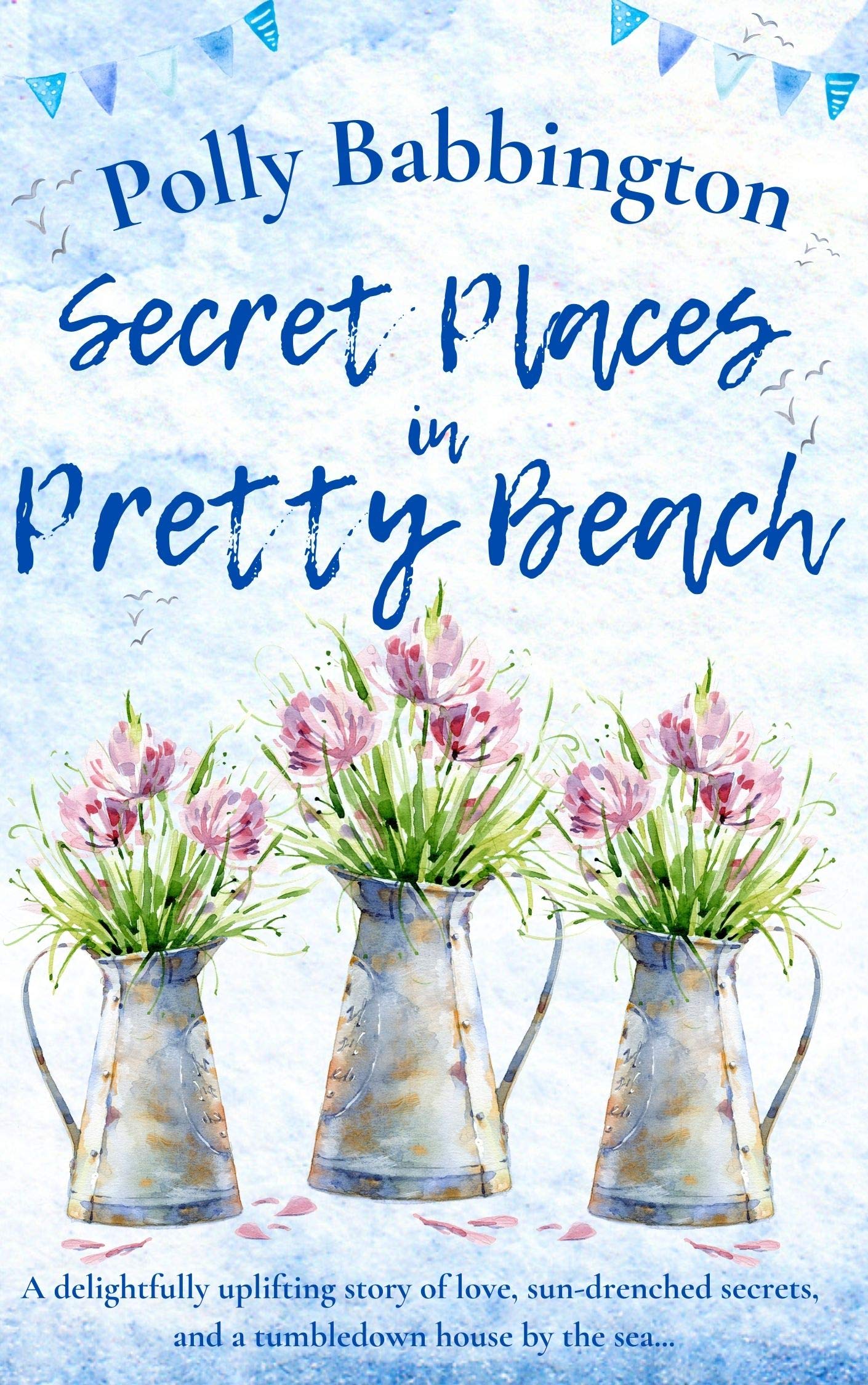 Secret Places in Pretty Beach book cover
