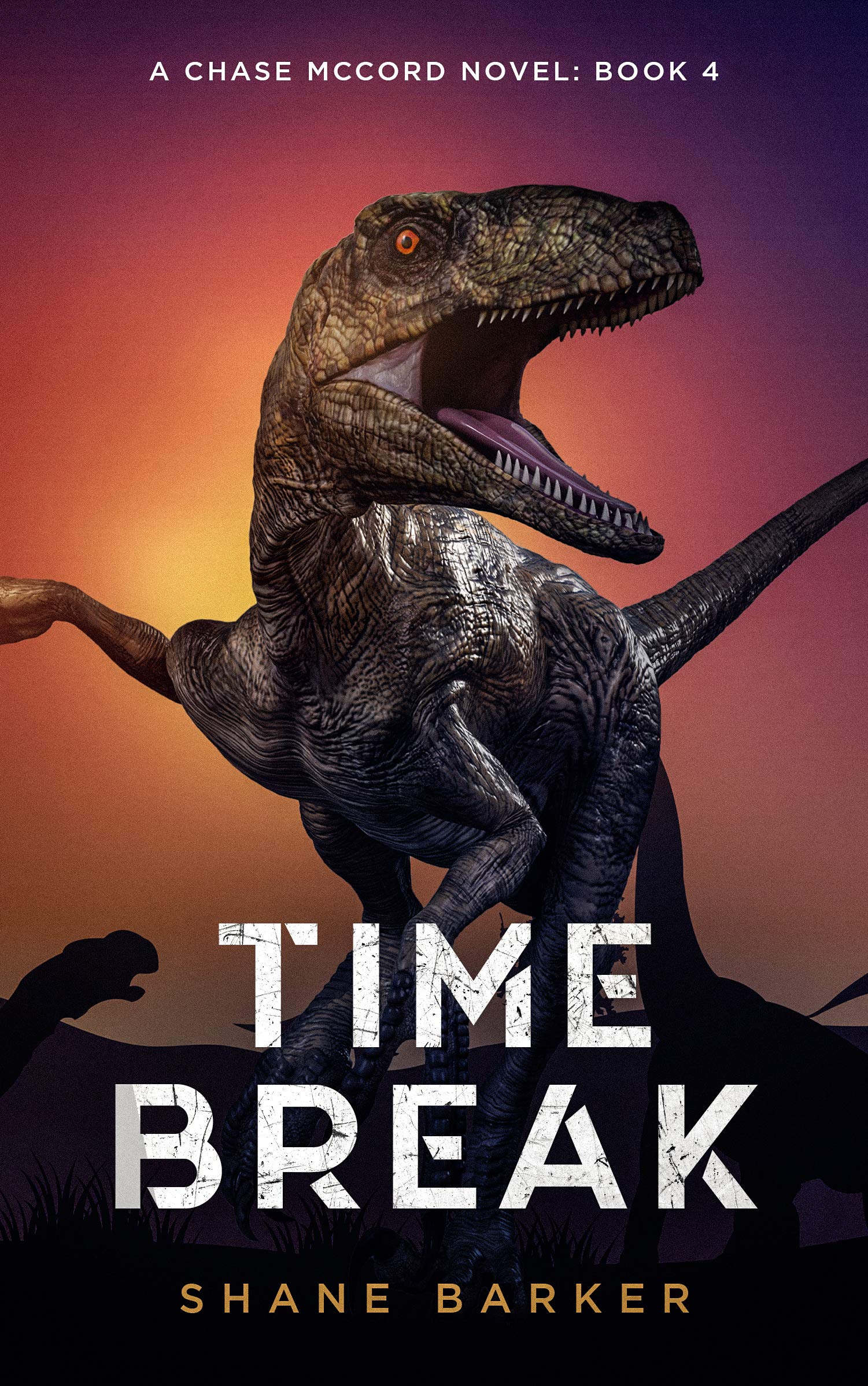 Time Break: A Chase McCord Novel: Book 4