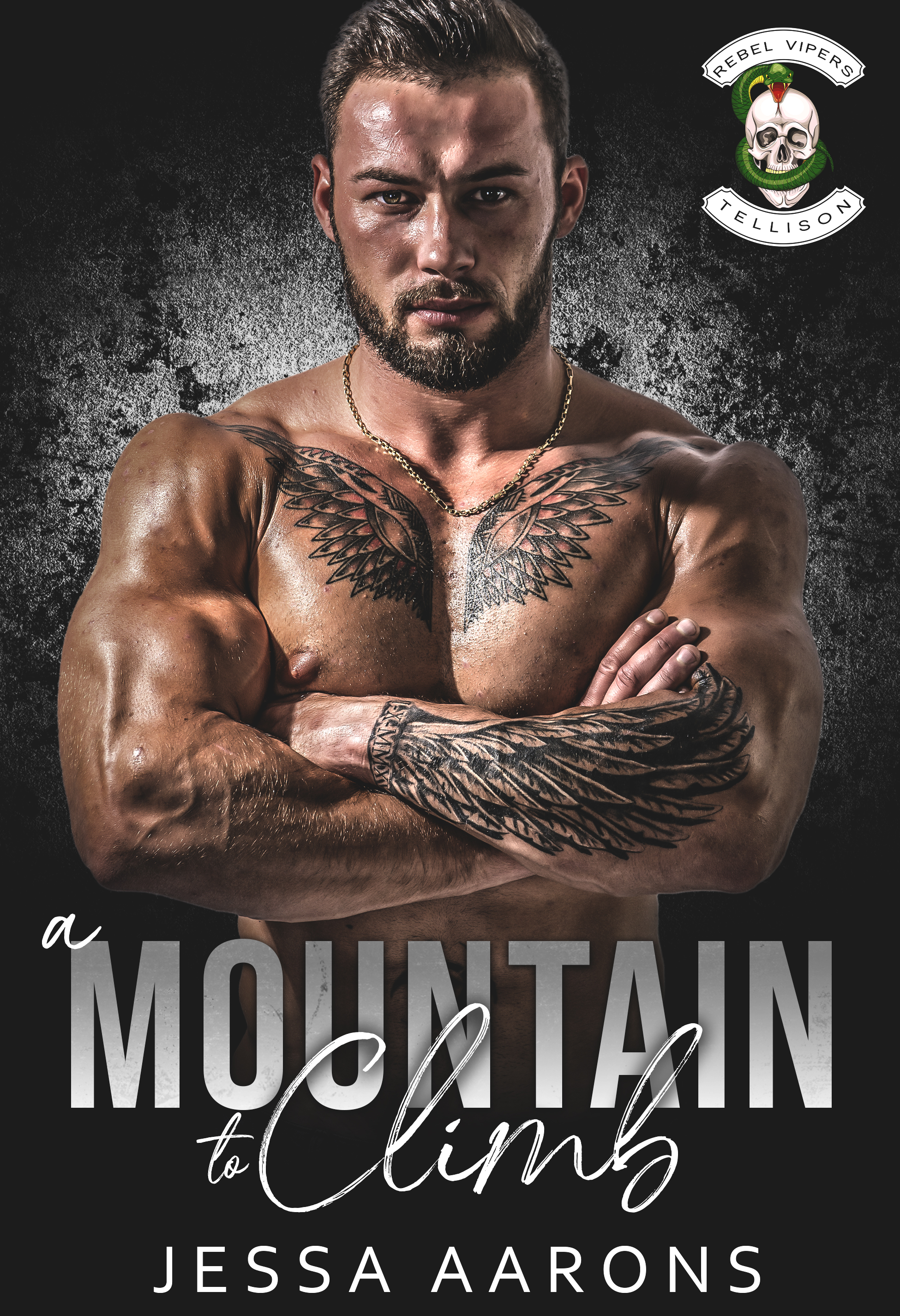 A Mountain to Climb book cover