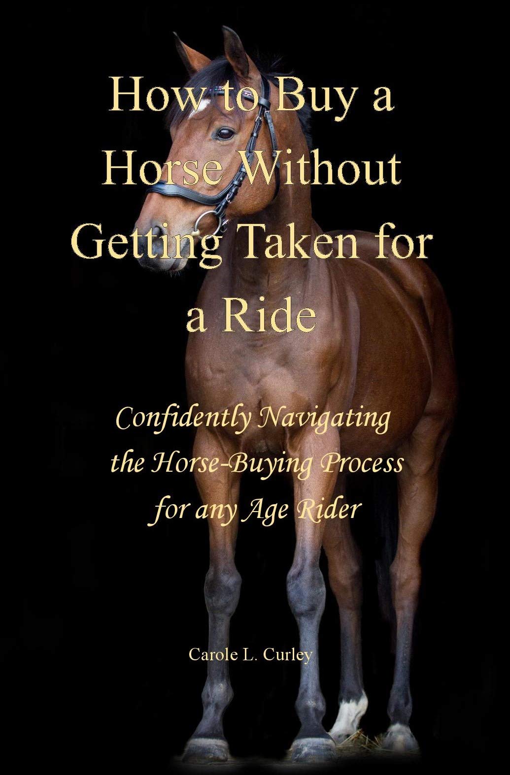 How to Buy a Horse Without Getting Taken for a Ride Confidently