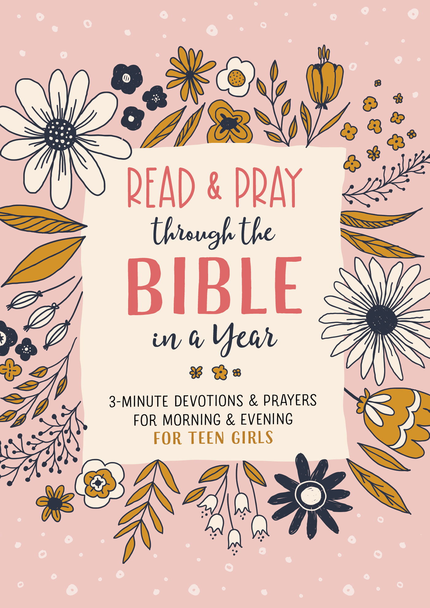 Read and Pray through the Bible in a Year (teen girl): 3-Minute ...