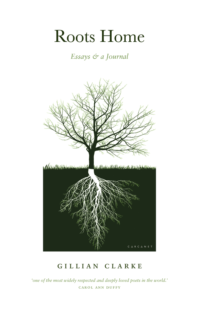 Roots Home book cover