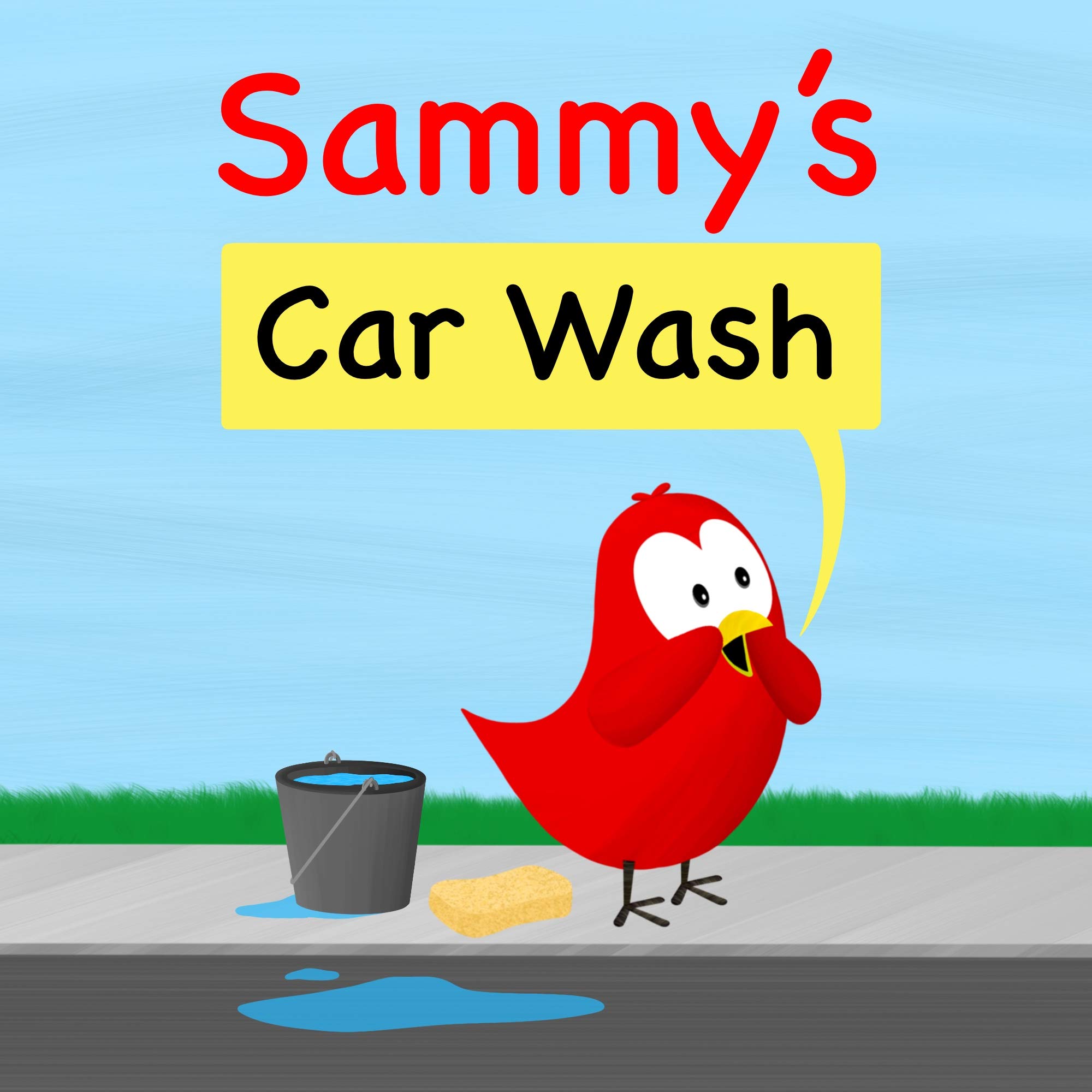Sammy's Car Wash