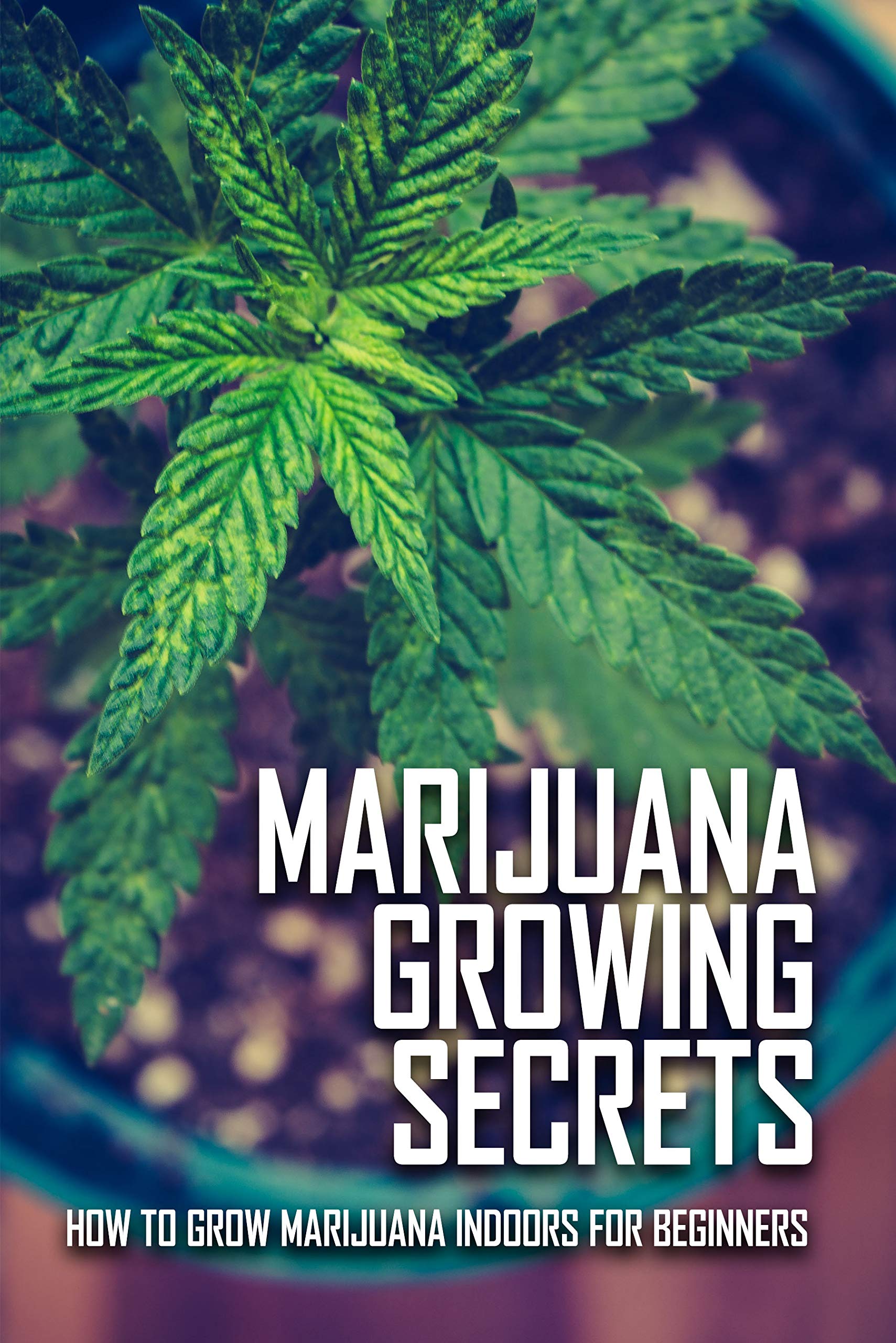 Marijuana Growing Secrets: How To Grow Marijuana Indoors For Beginners