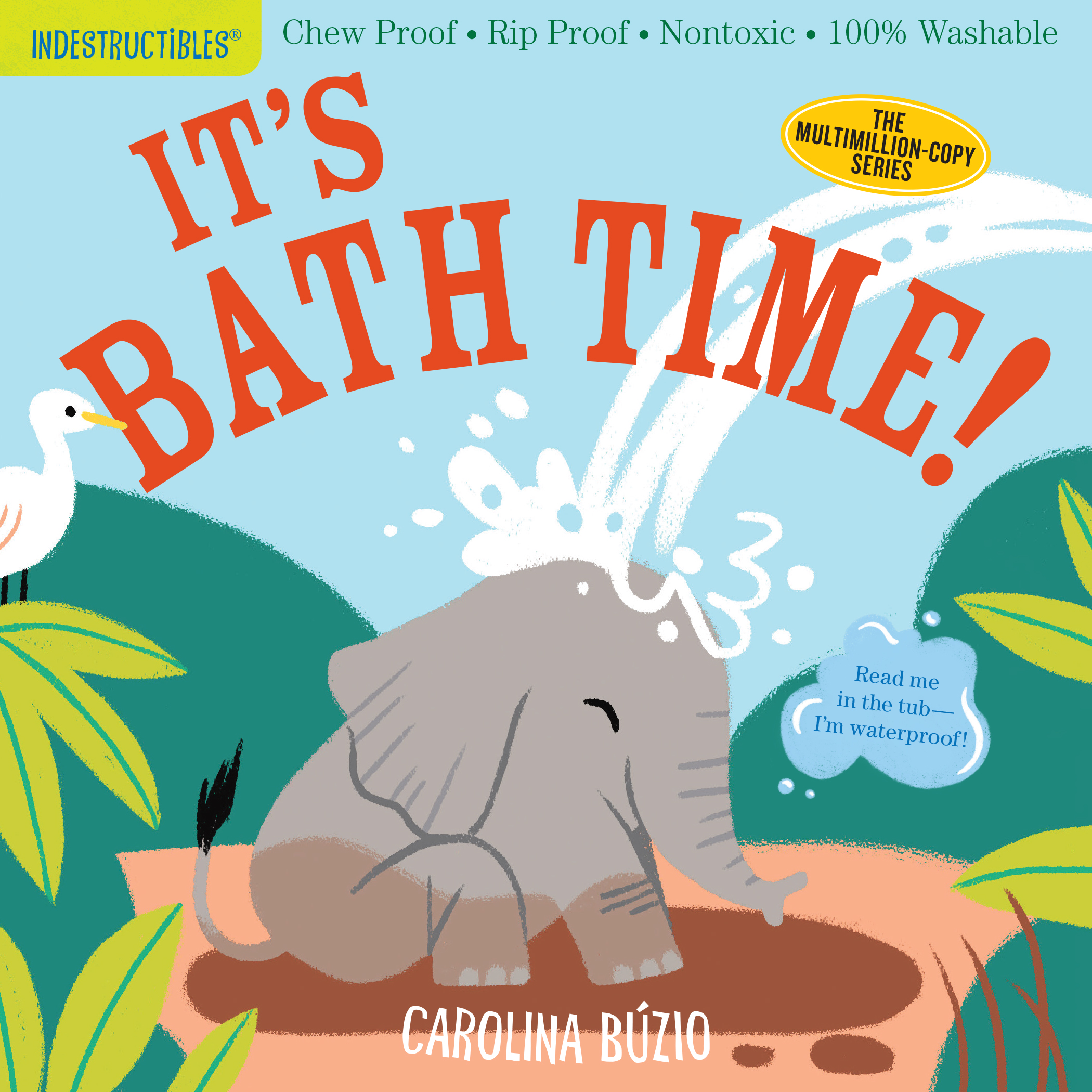 It's Bath Time! Indestructibles