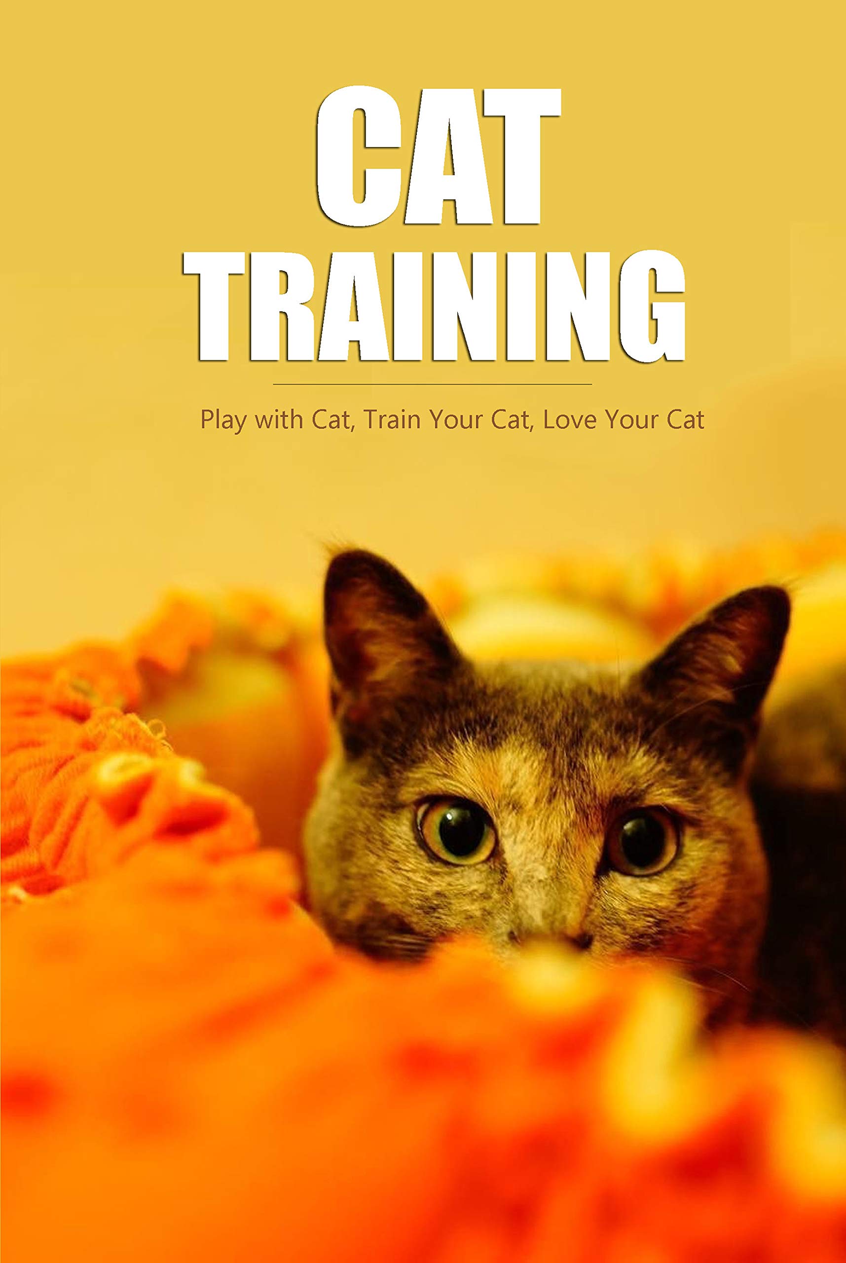 Cat Training Play with Cat, Train Your Cat, Love Your Cat Complete