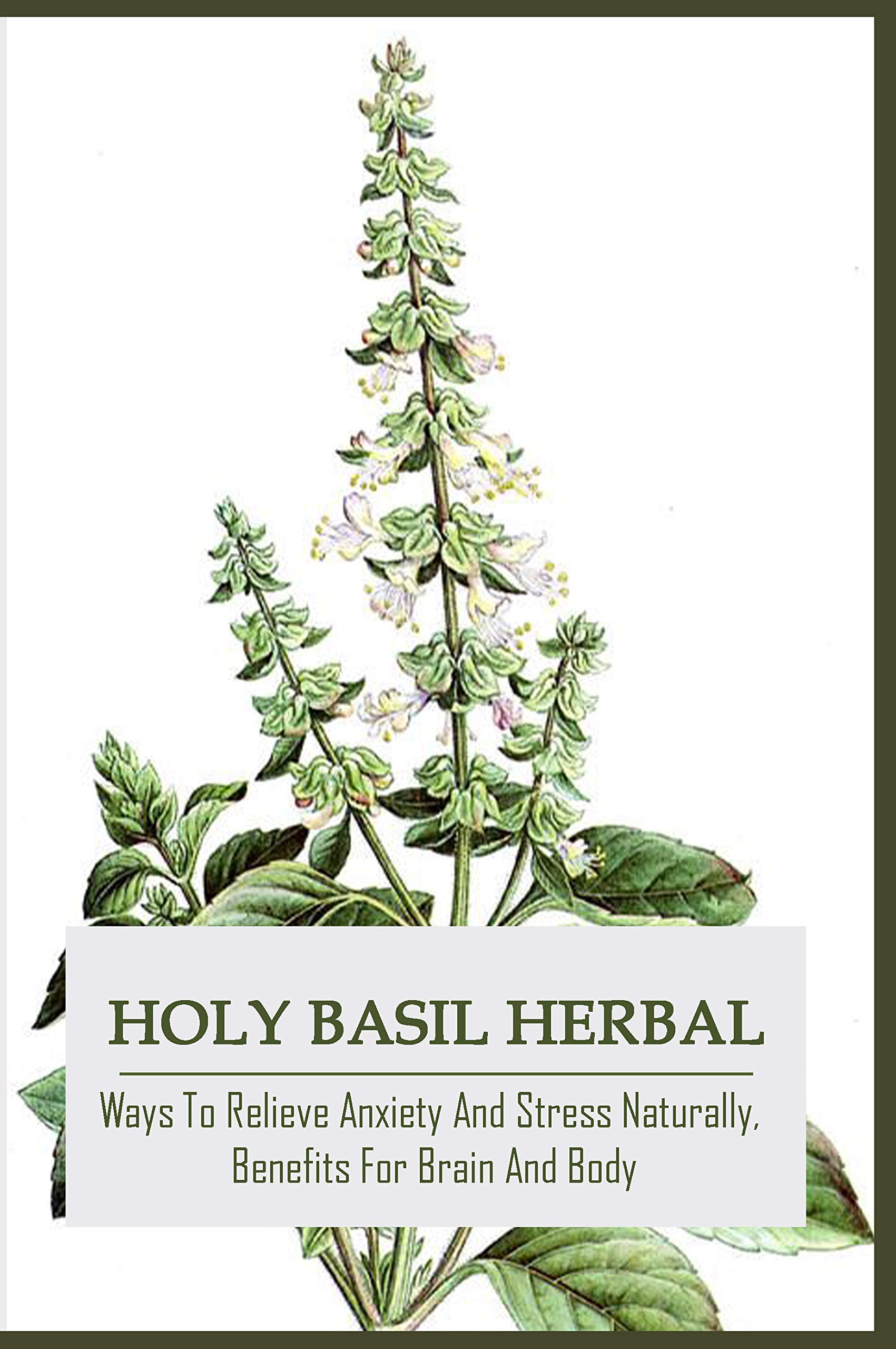 Holy Basil Herbal Ways To Relieve Anxiety And Stress Naturally