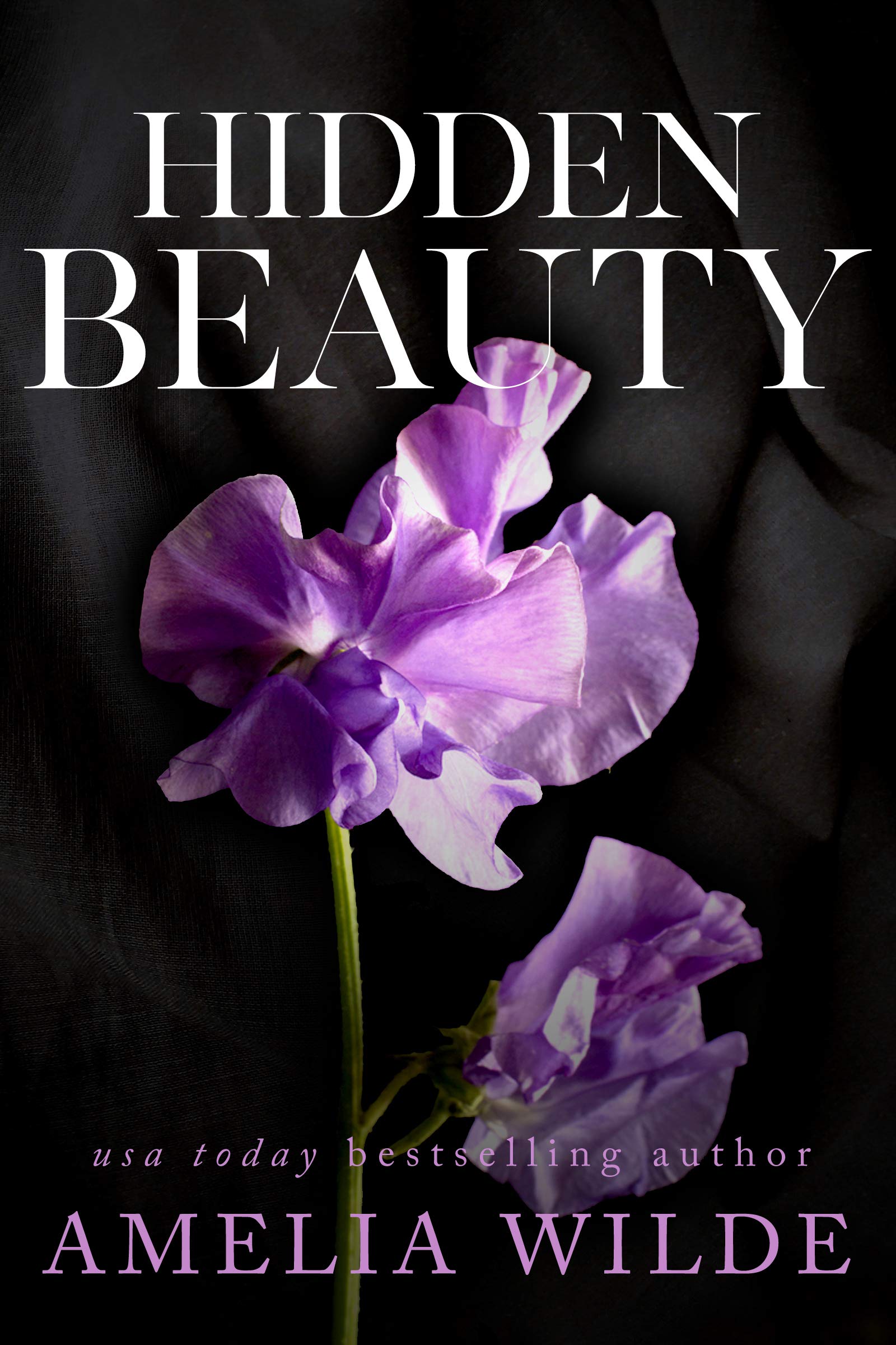 Hidden Beauty (Beast of Bishop's Landing #2)