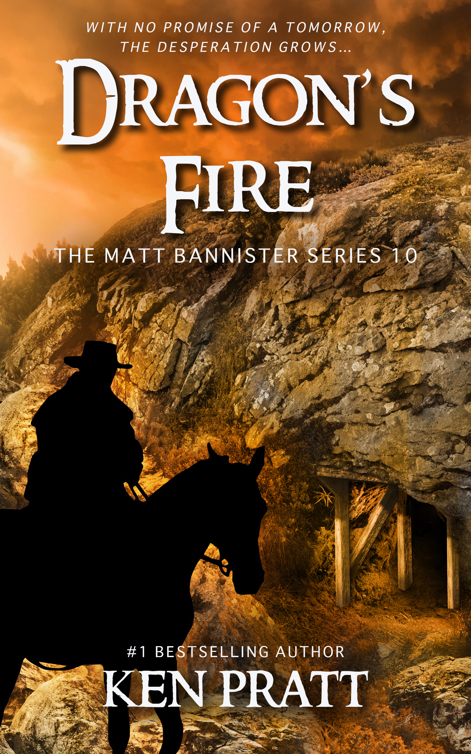 Dragon's Fire book cover