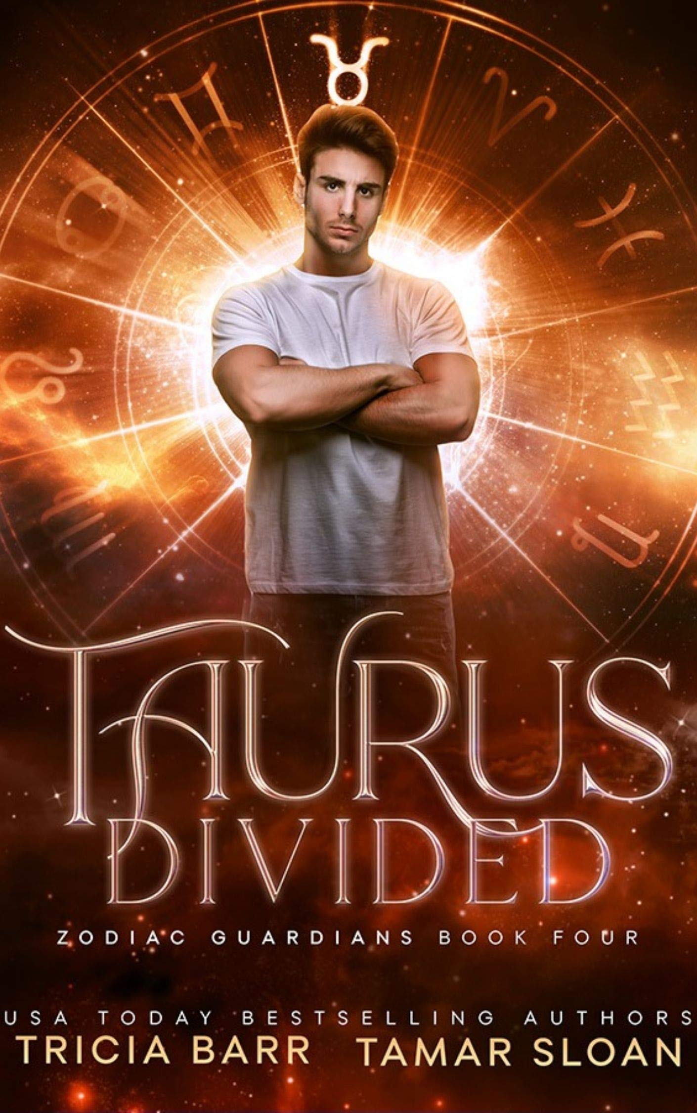 Taurus Divided book cover