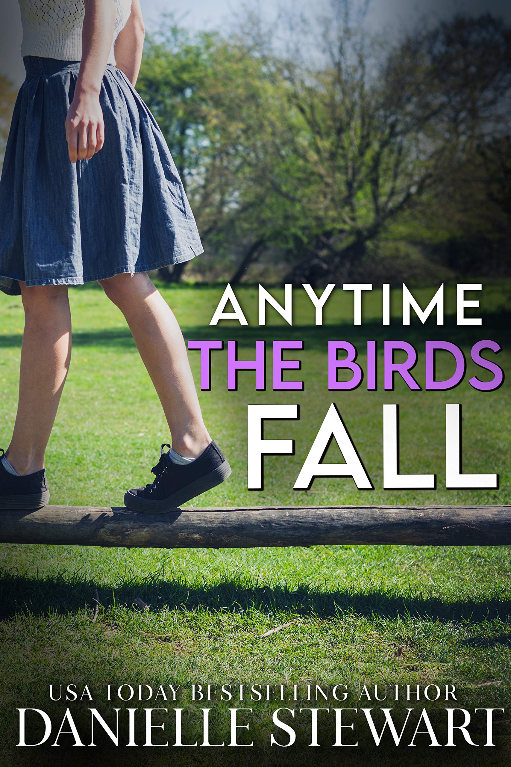 Anytime the Birds Fall book cover
