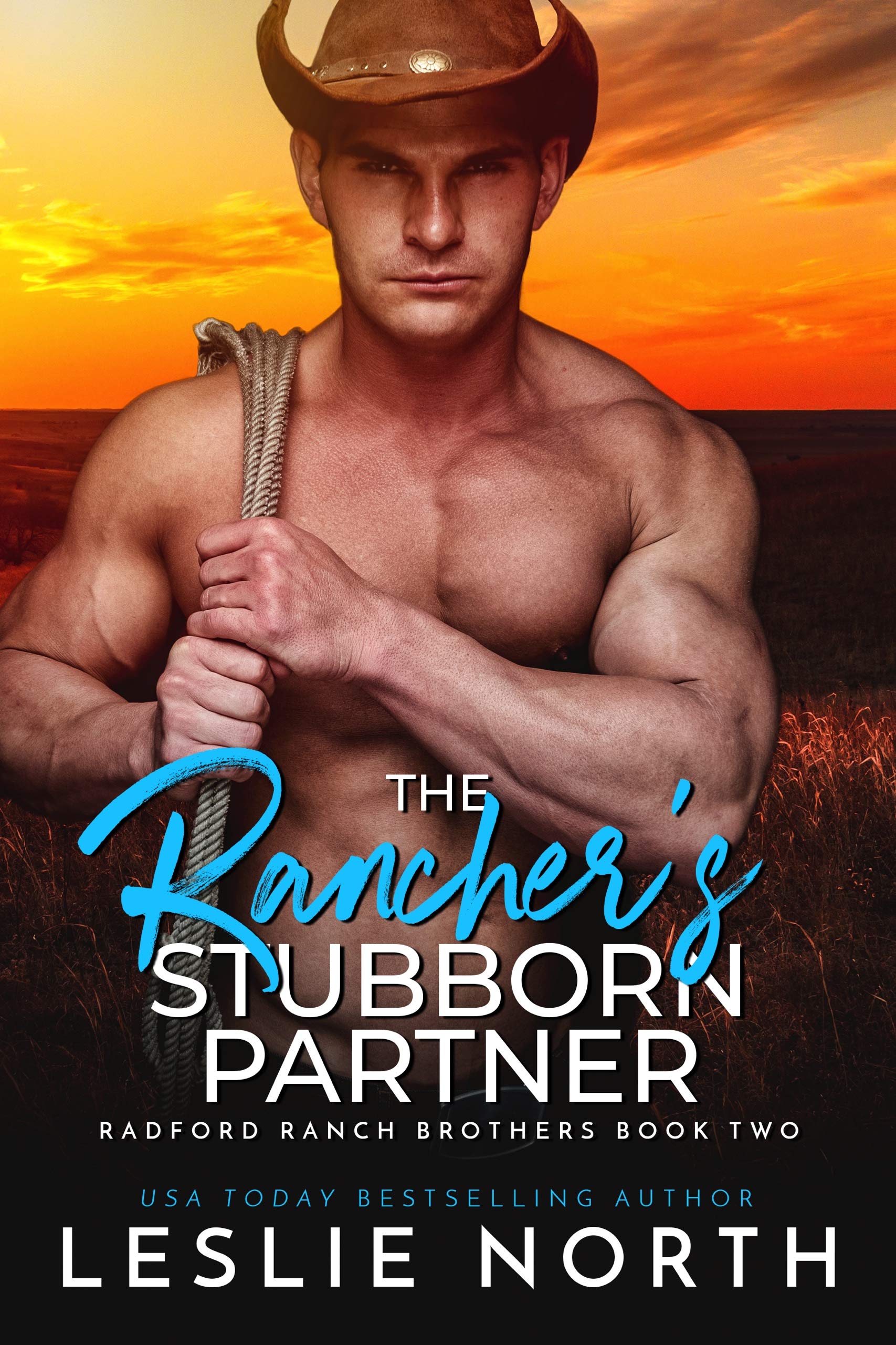 Radford Ranch Brothers book cover 2
