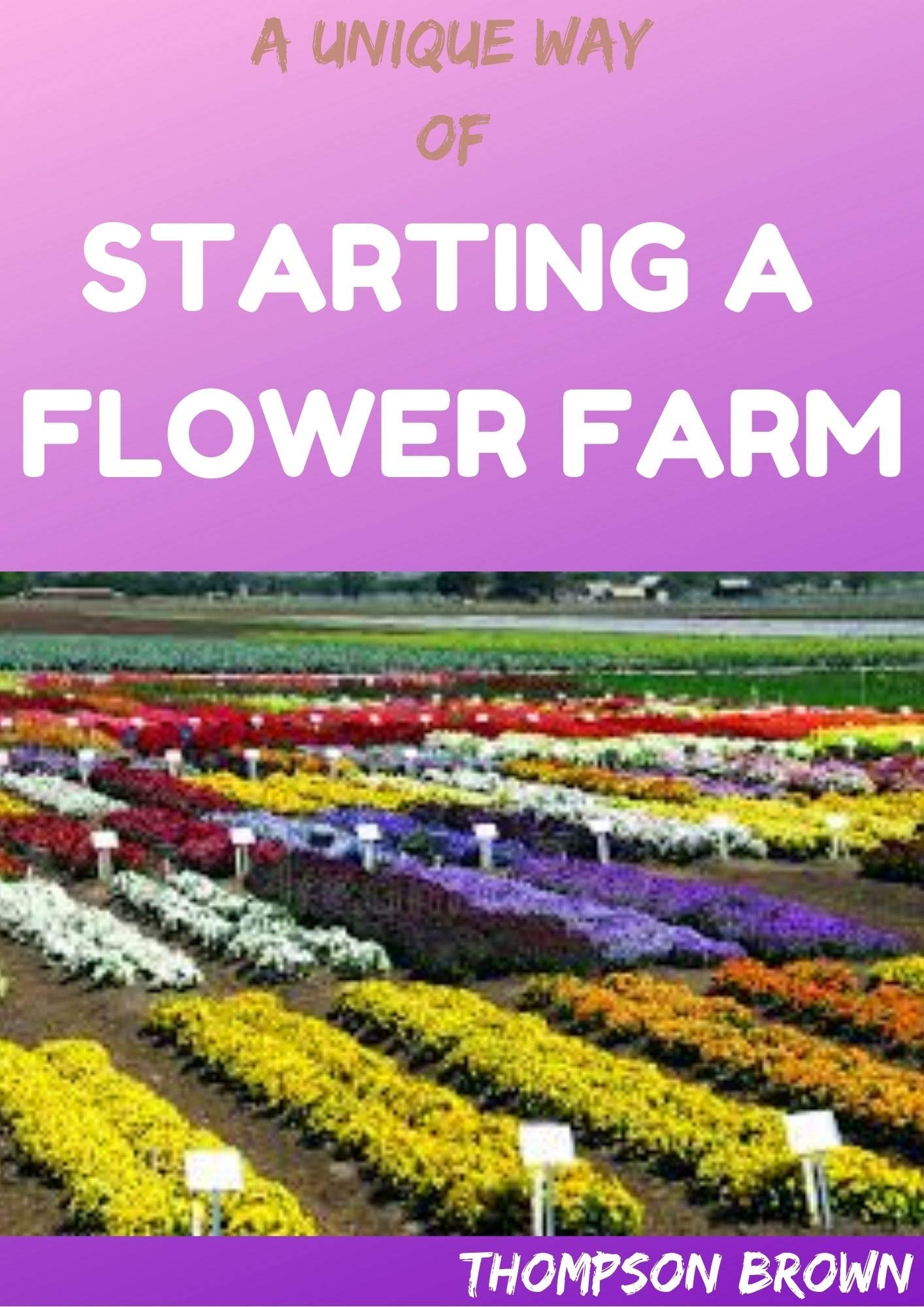 A UNIQUE WAY OF STARTING A FLOWER FARM Step By Step Guide To Raising