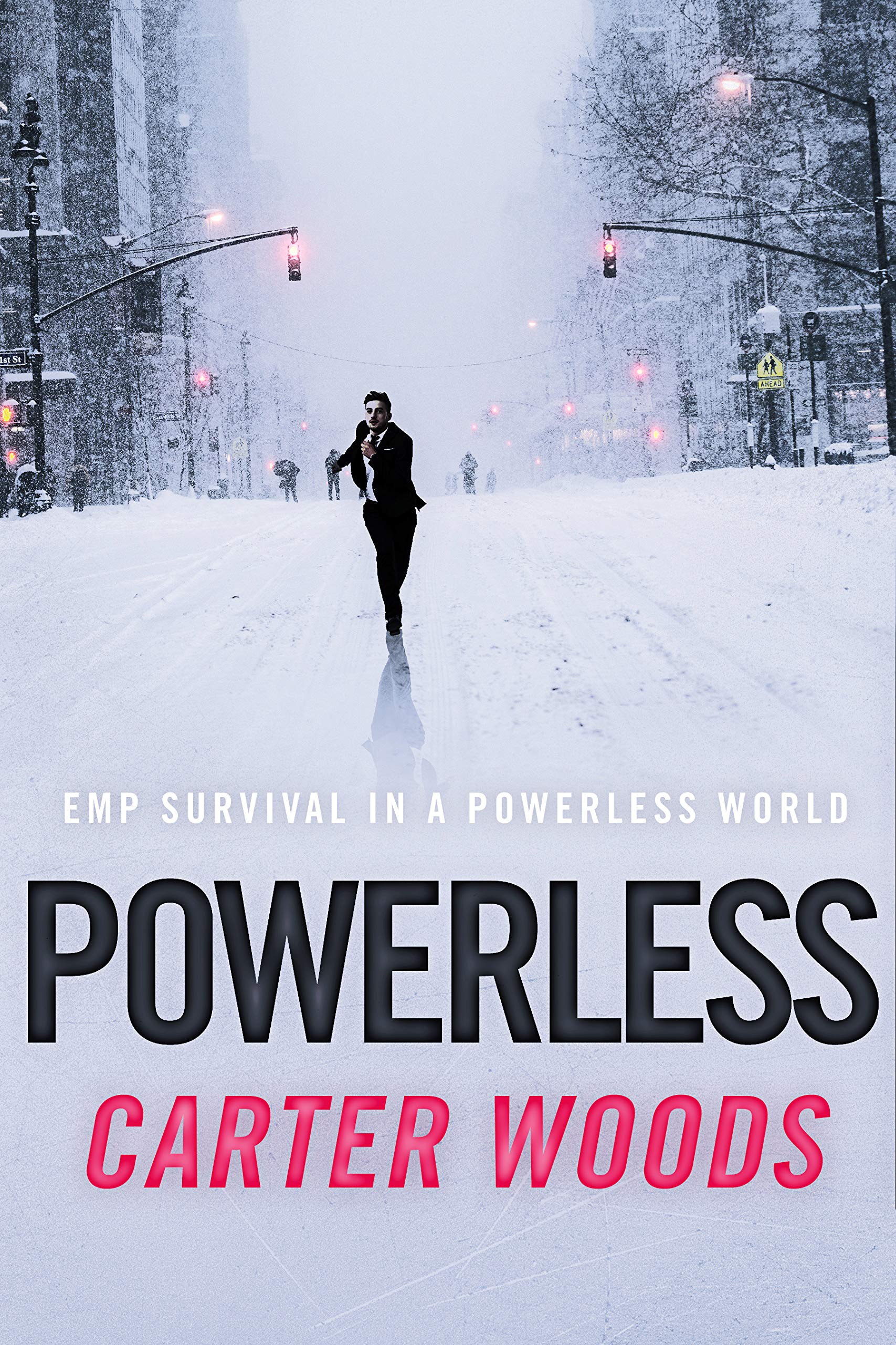 EMP Survival in a Powerless World book cover 3