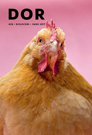 DoR book cover 2