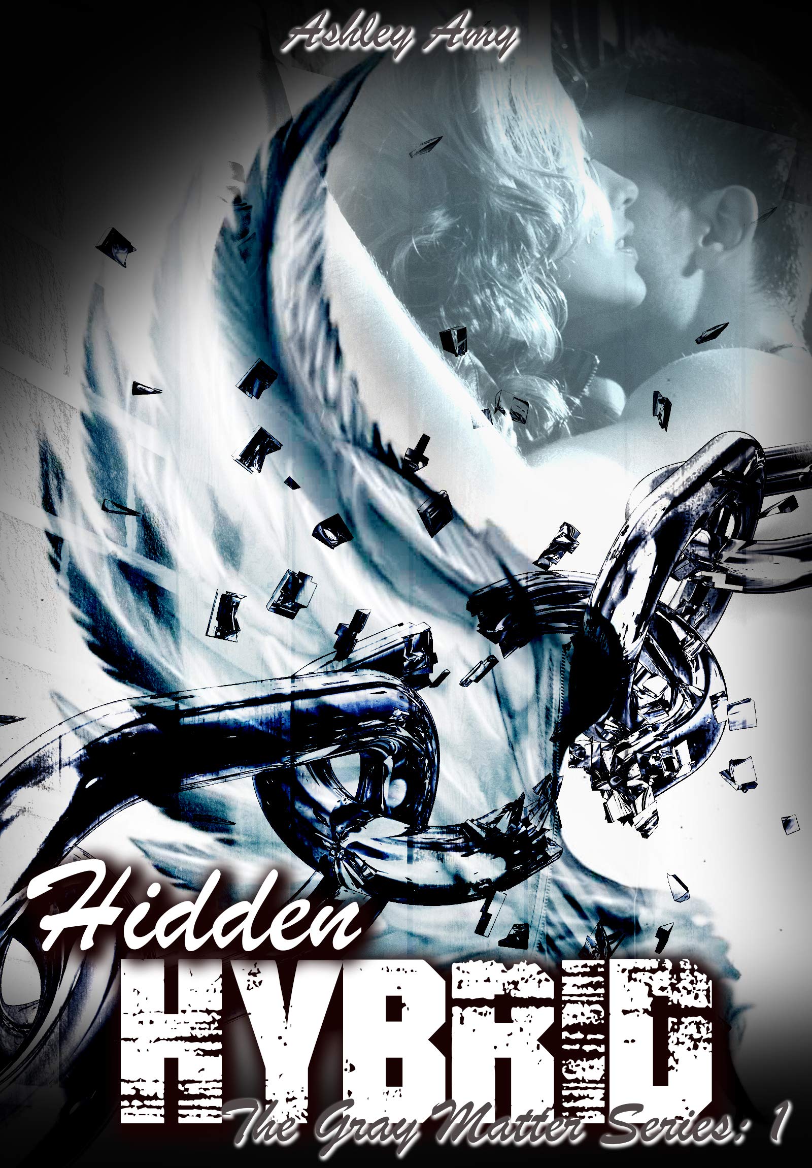 Hidden Hybrid book cover
