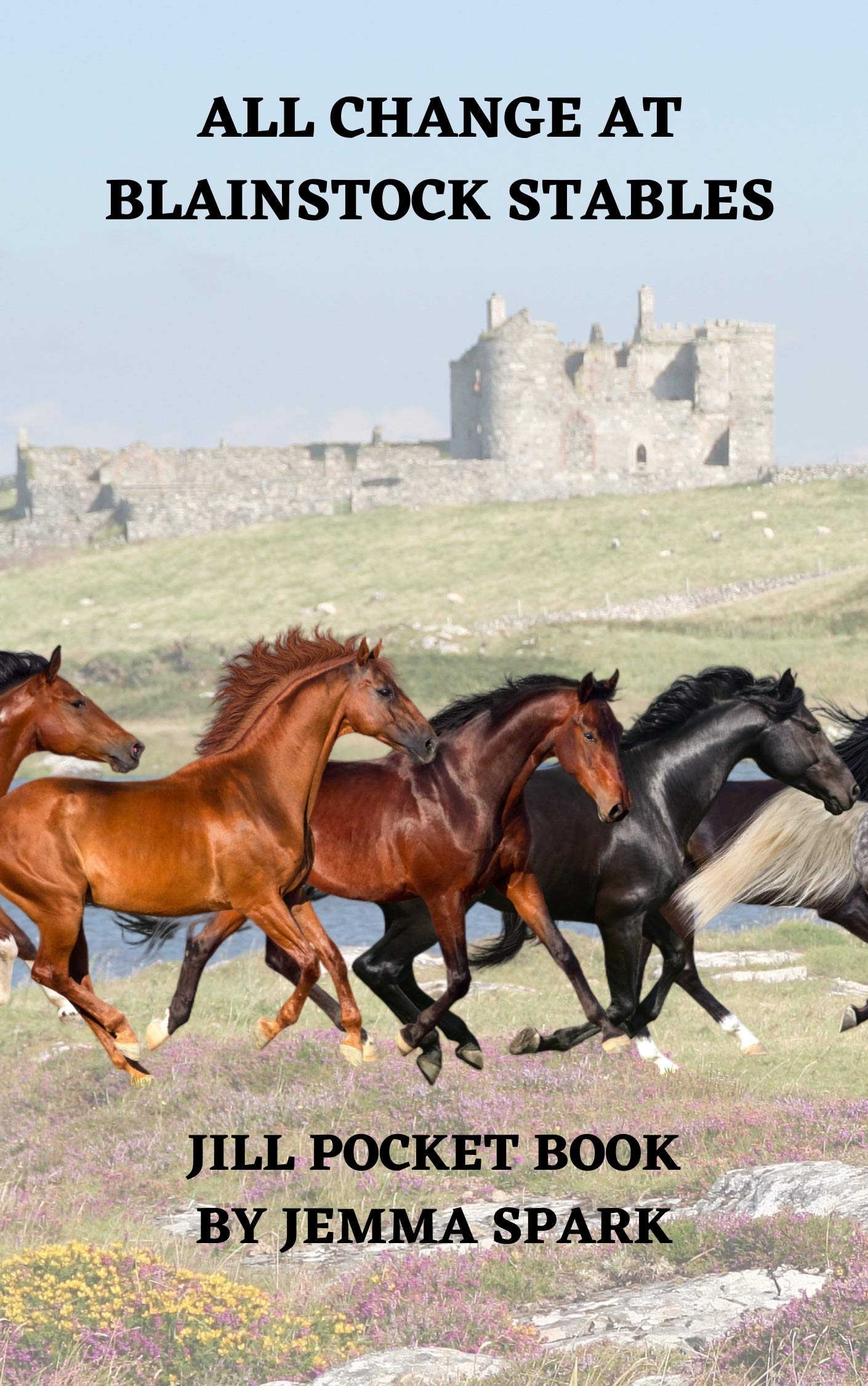 All Change at Blainstock Stables: Jill Goes Into Business