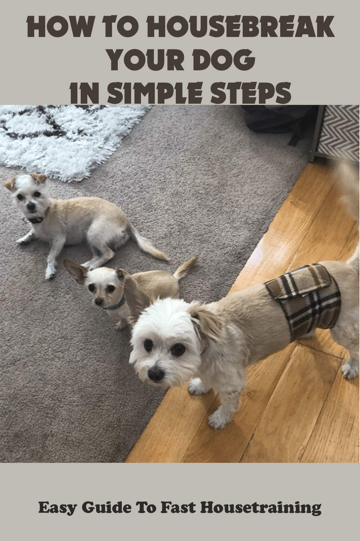 How To Housebreak Your Dog In Simple Steps Easy Guide To Fast