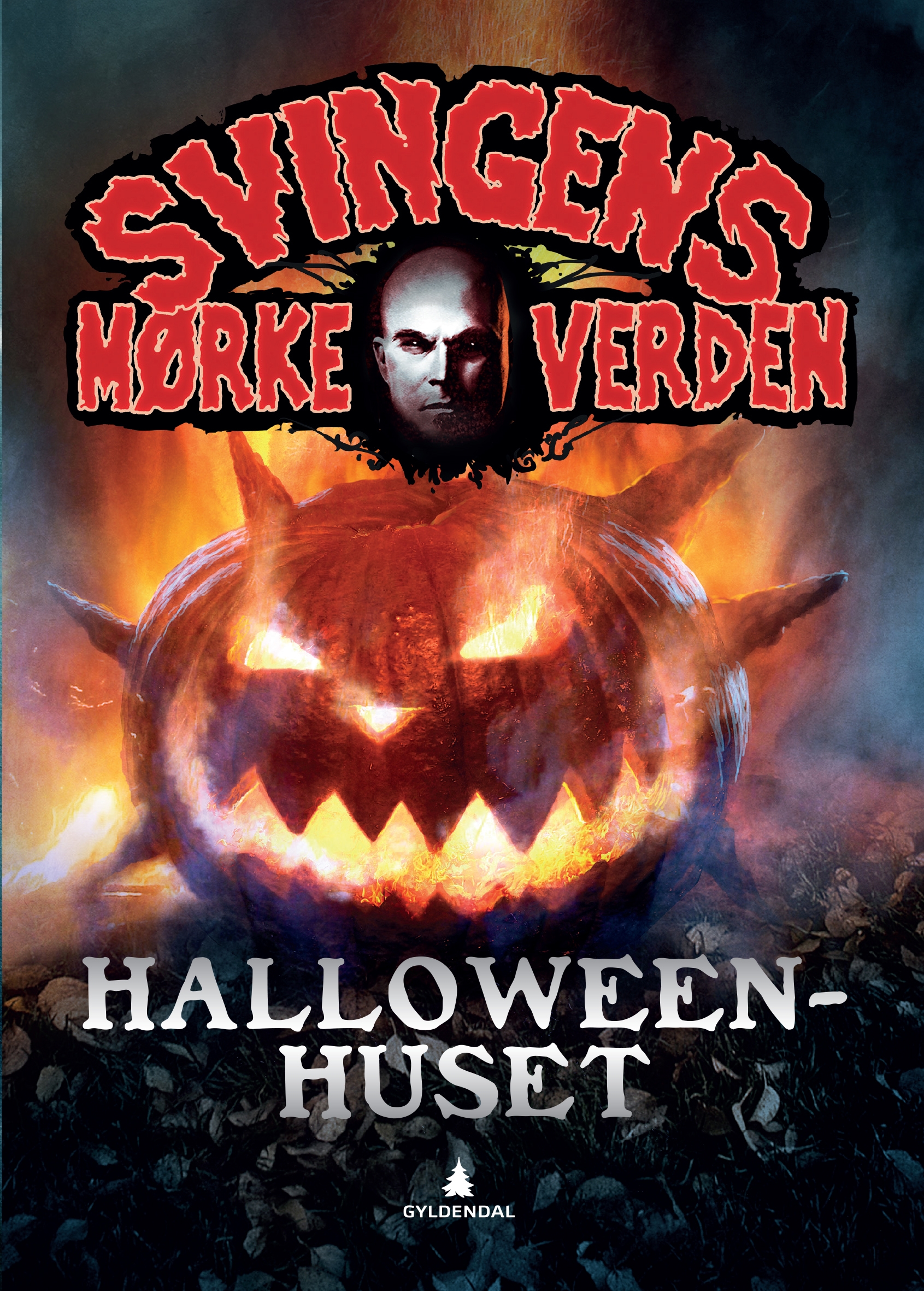 Svingens mørke verden book cover 1