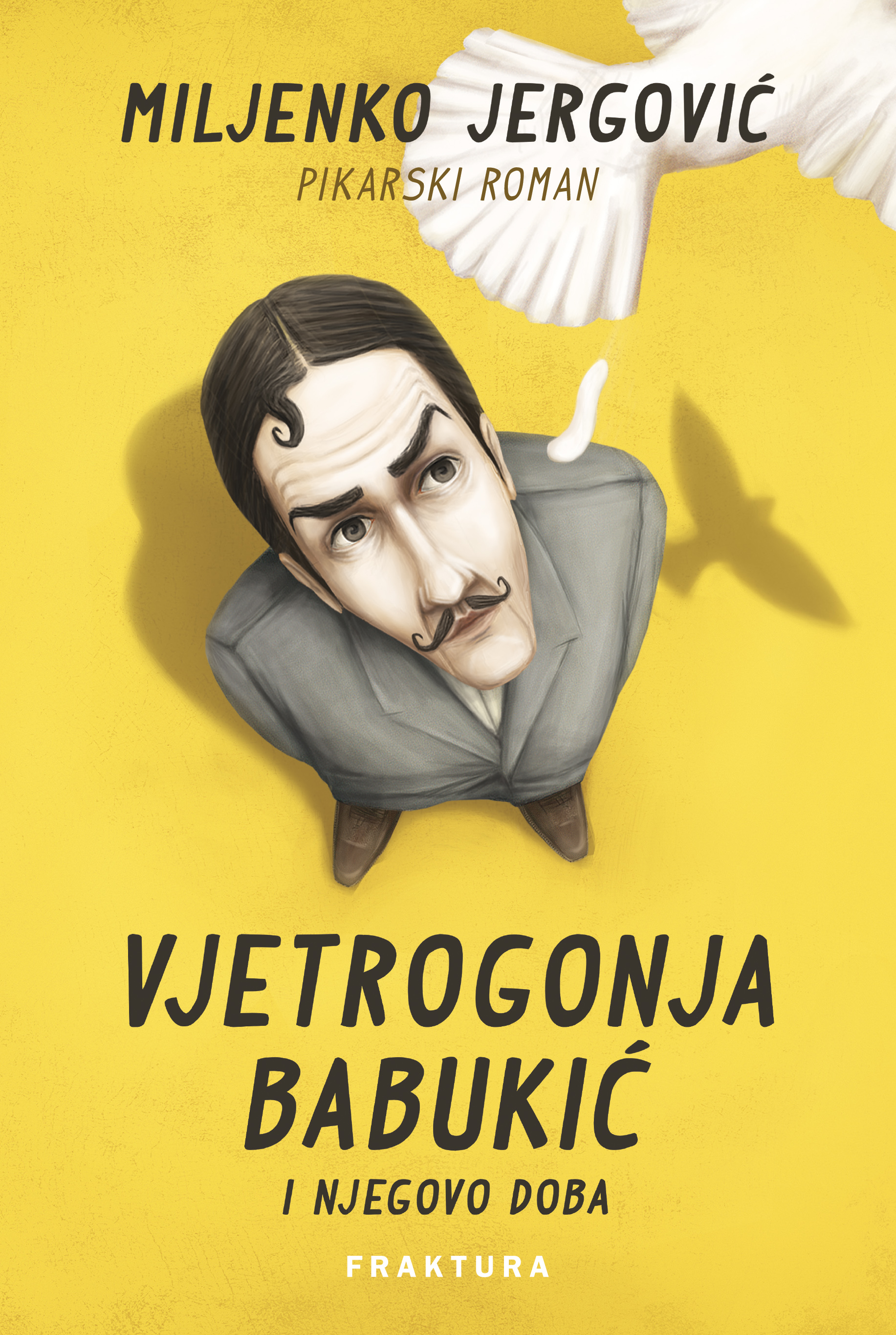 Vjetrogonja Babukić i njegovo doba: pikarski roman