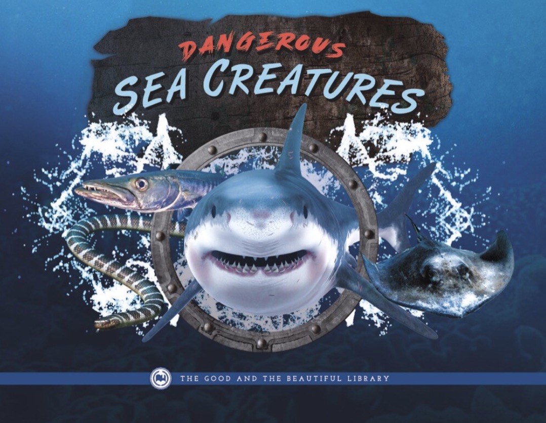 Dangerous Sea Creatures