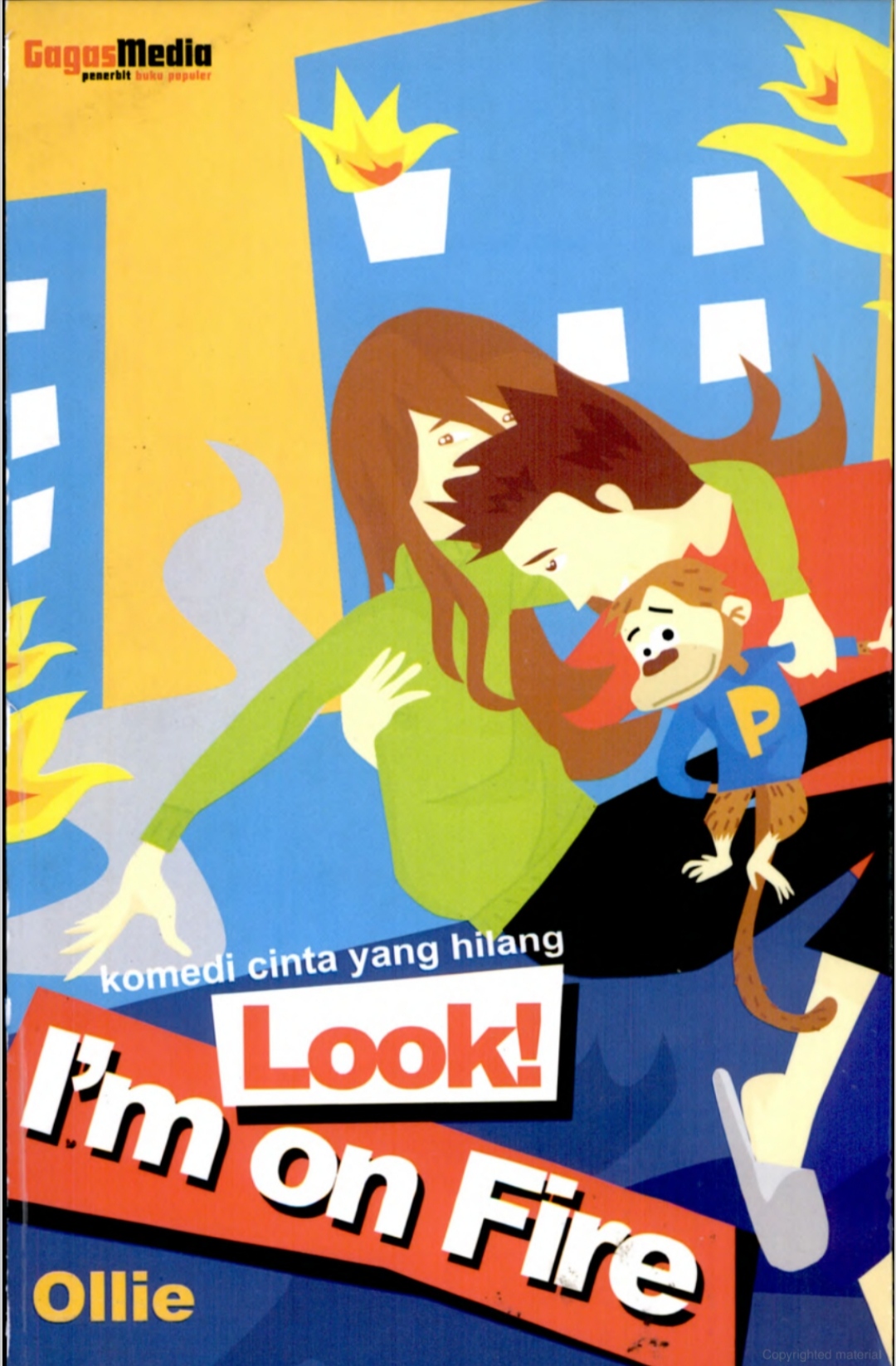 Look! I’m on Fire book cover