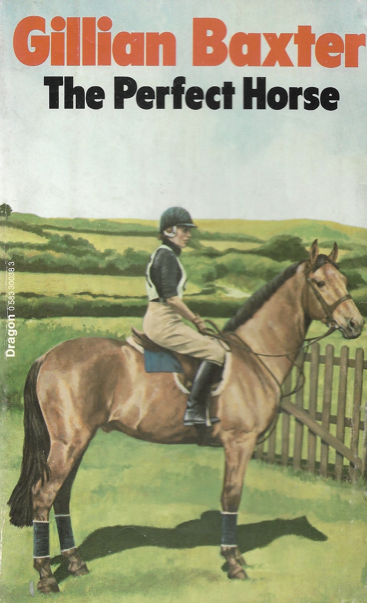 The Perfect Horse