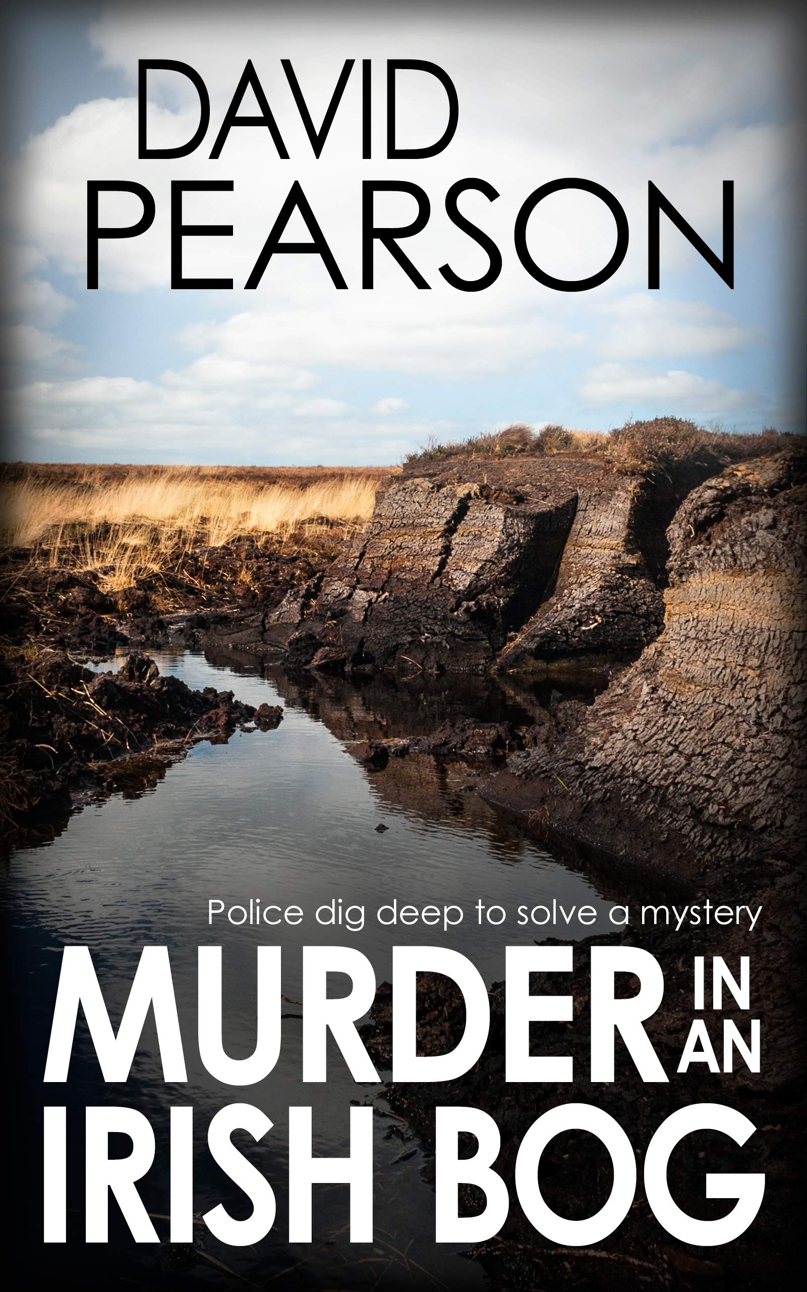 Murder in an Irish Bog book cover