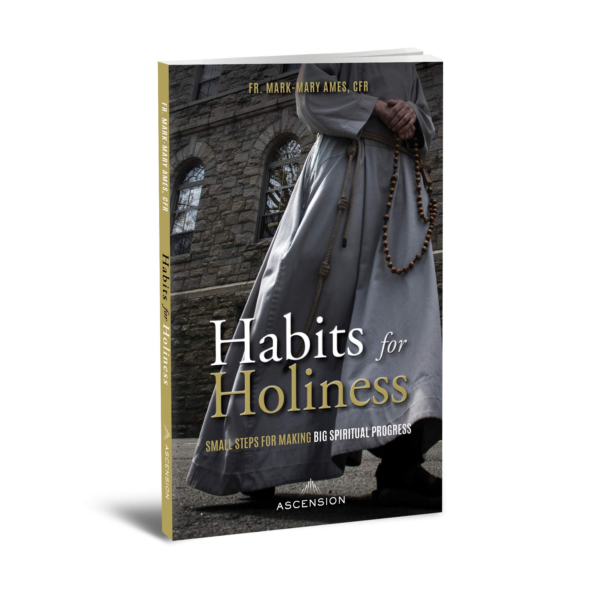 Habits for Holiness: Small Steps for Making Big Spiritual Progress