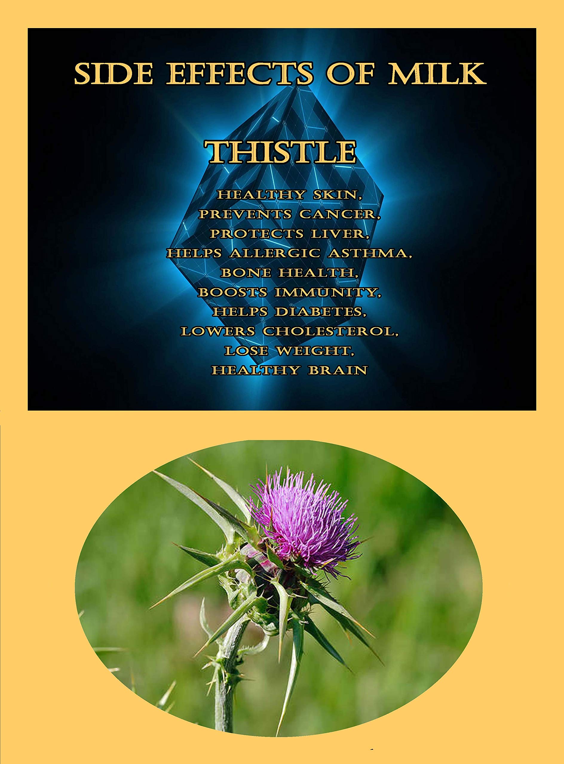 Side Effects of Milk Thistle Healthy Skin, Prevents Cancer, Protects Liver, Helps Allergic